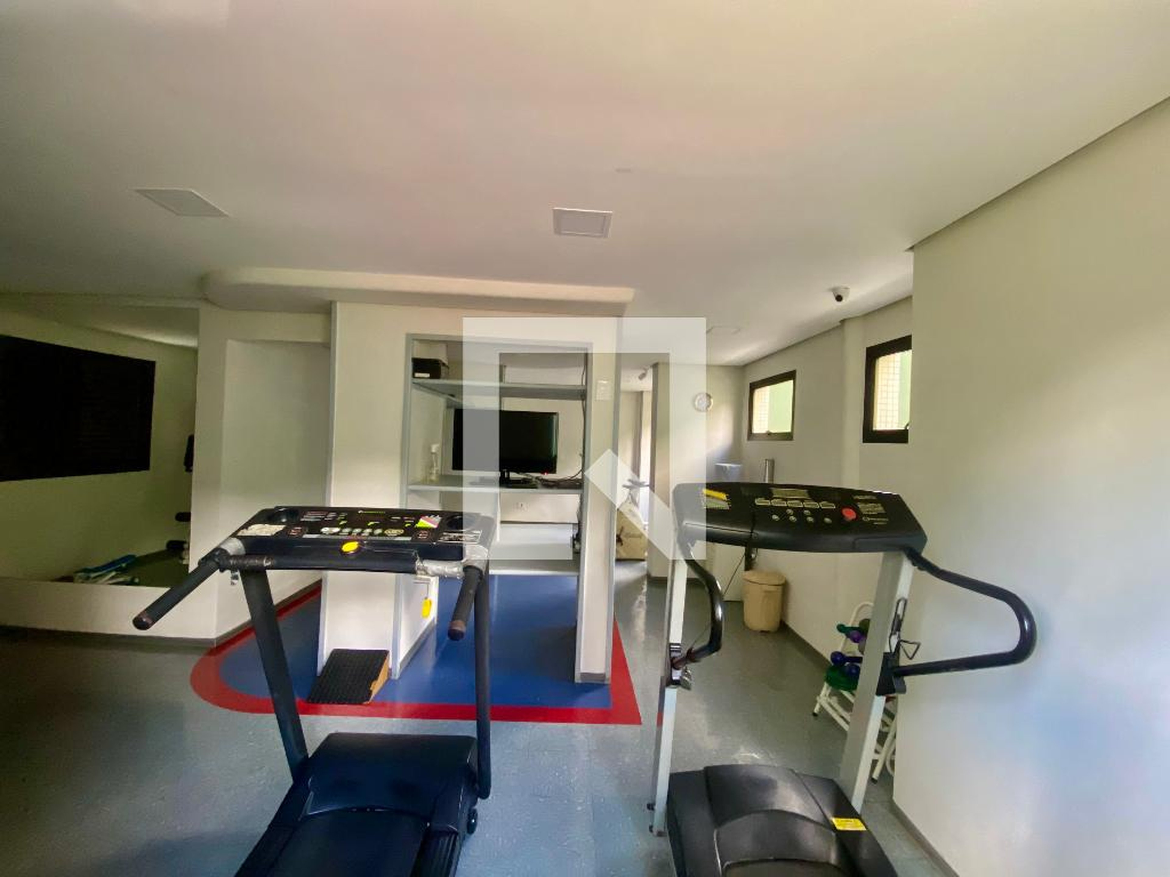 Academia - Queen Elizabeth