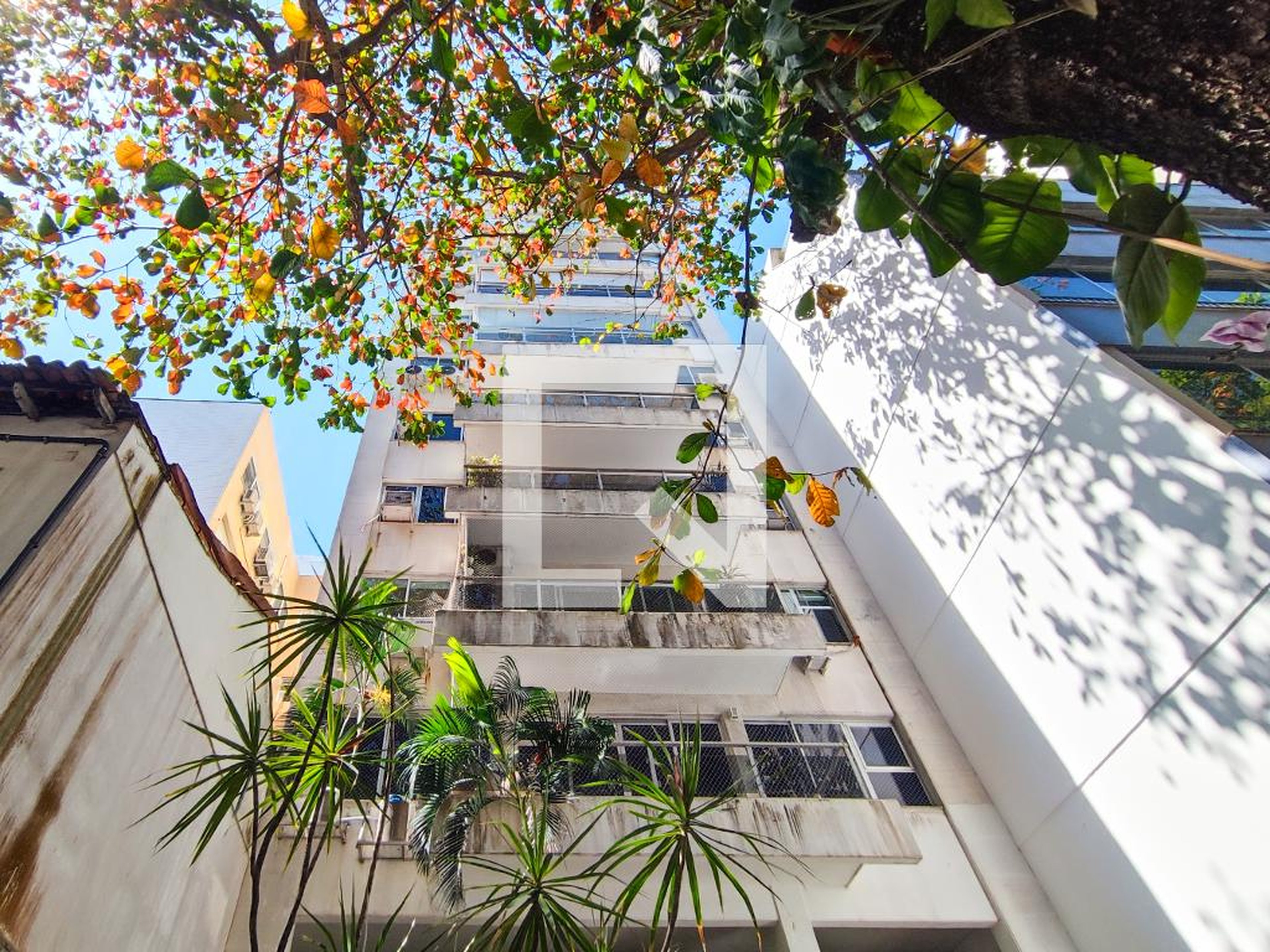 Fachada Edifício MM