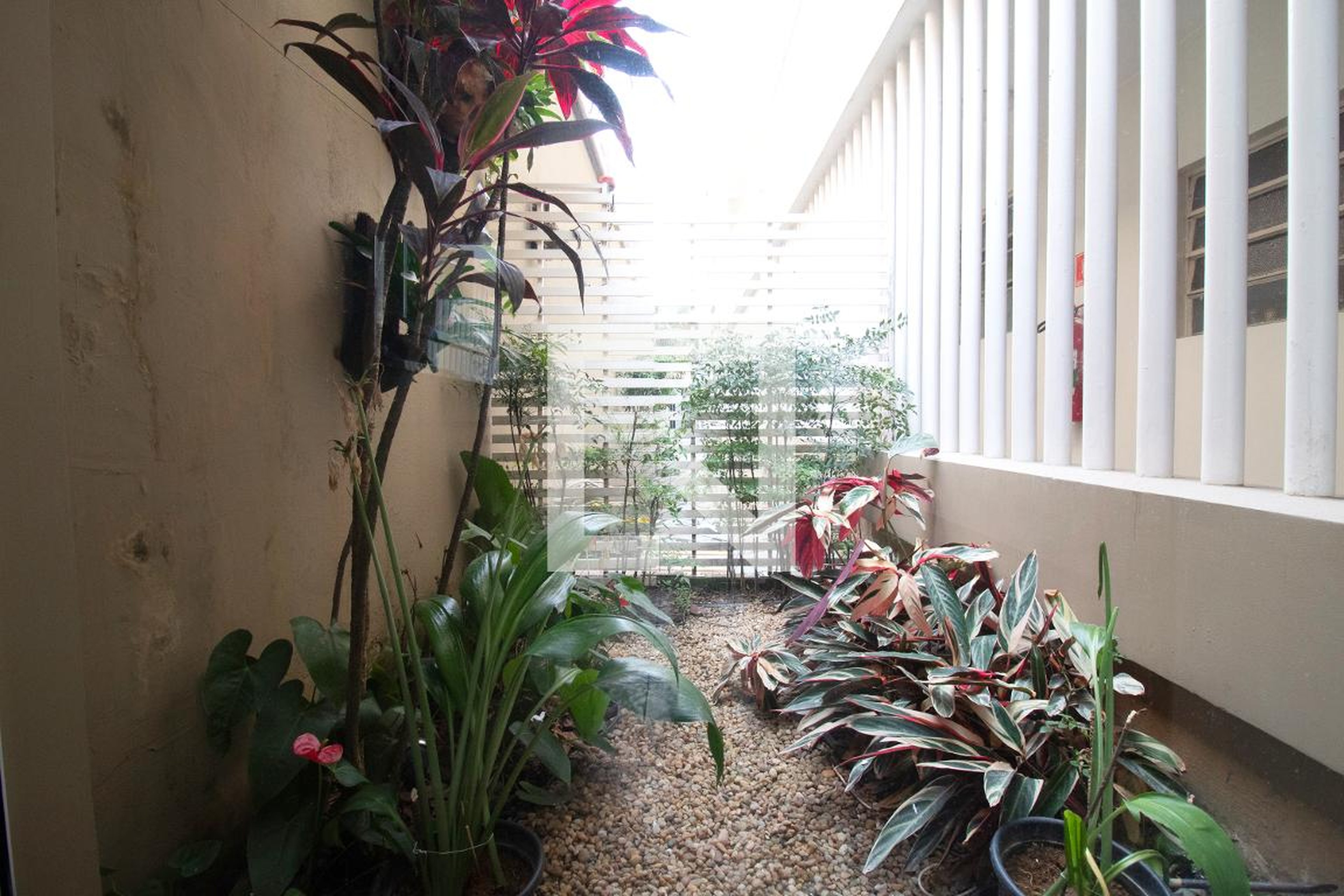 Área comum - Triesse II