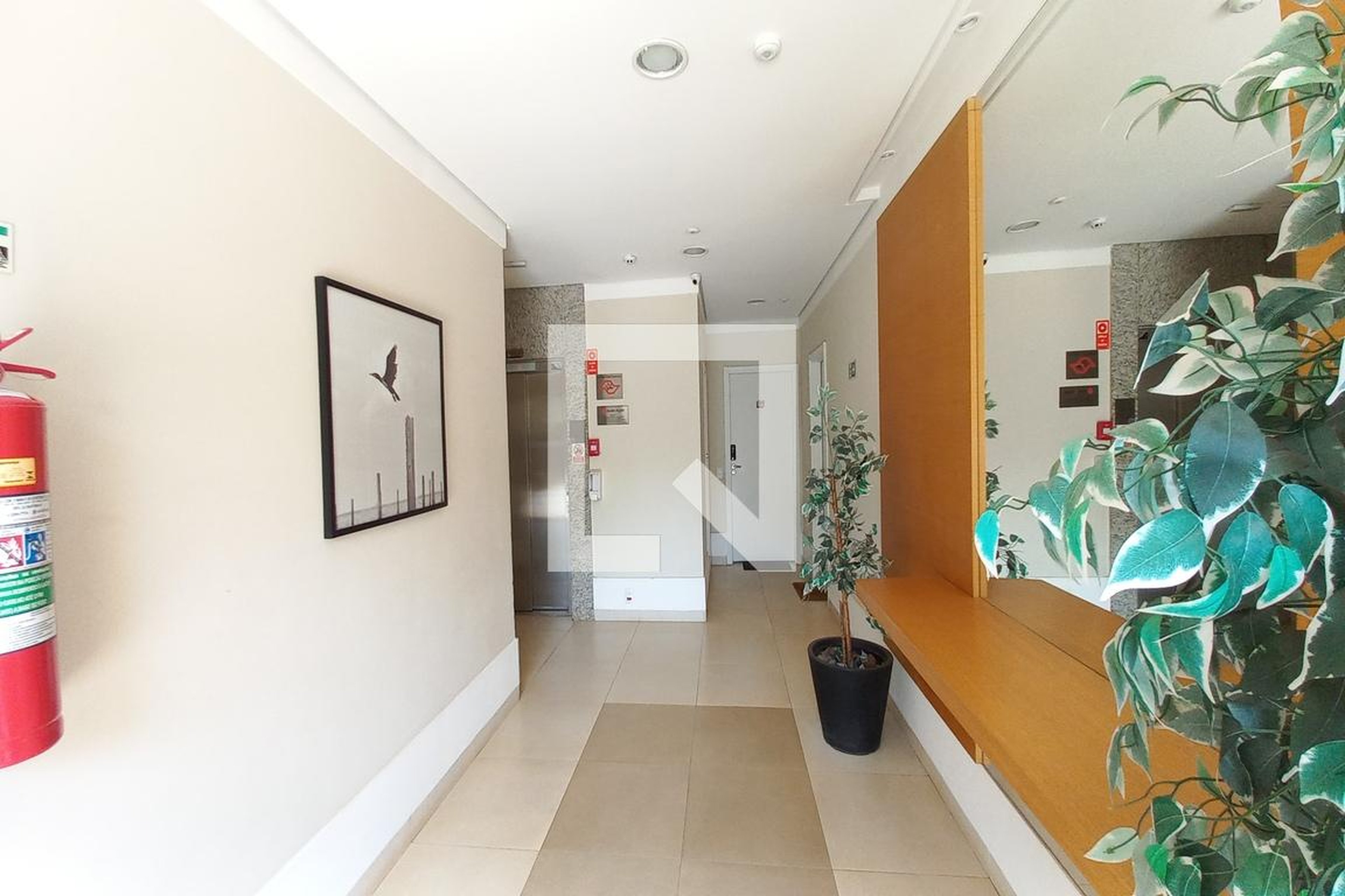 Hall social - Fatto Momentos