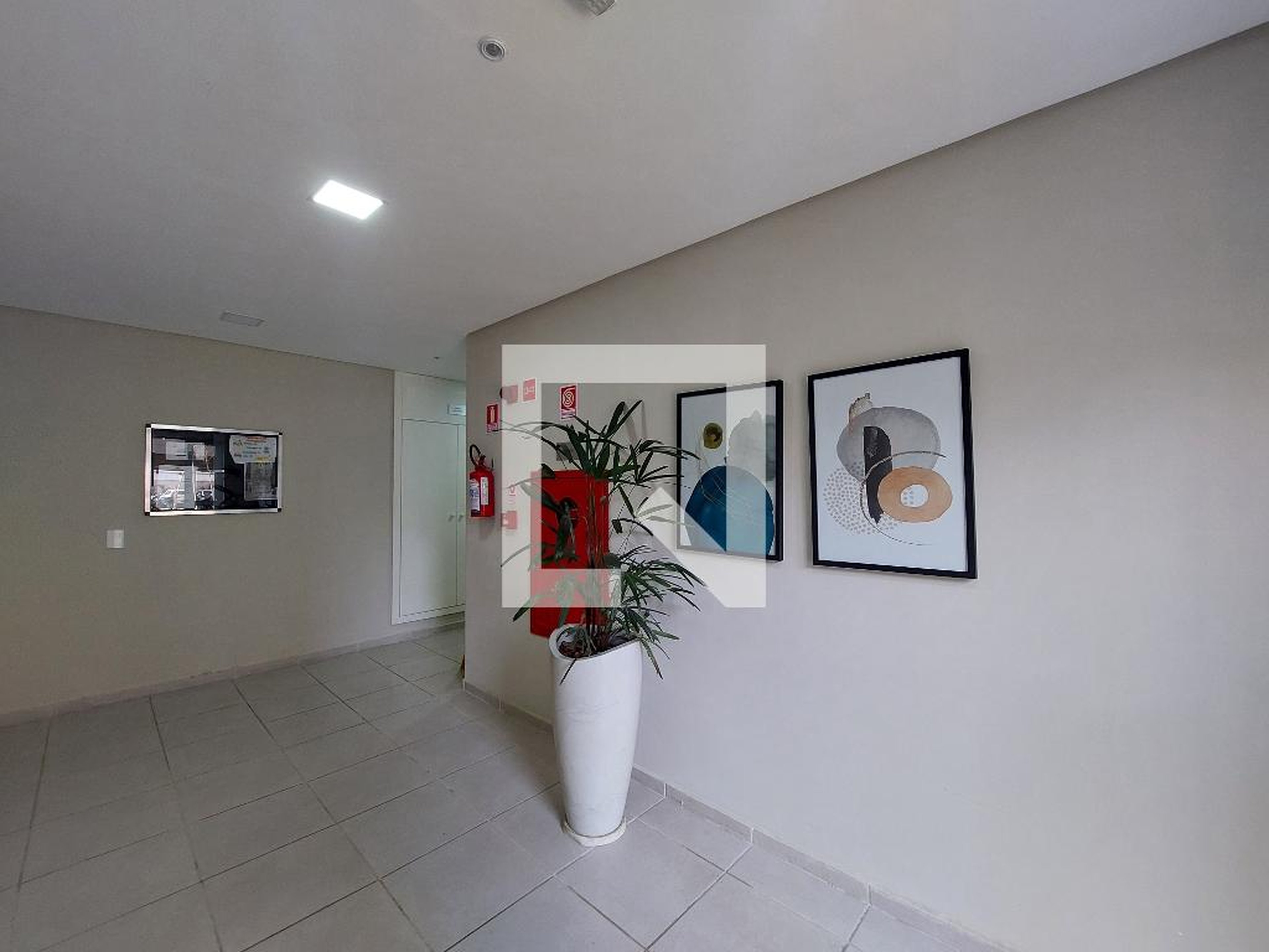 Hall - Dez Miguel Yunes