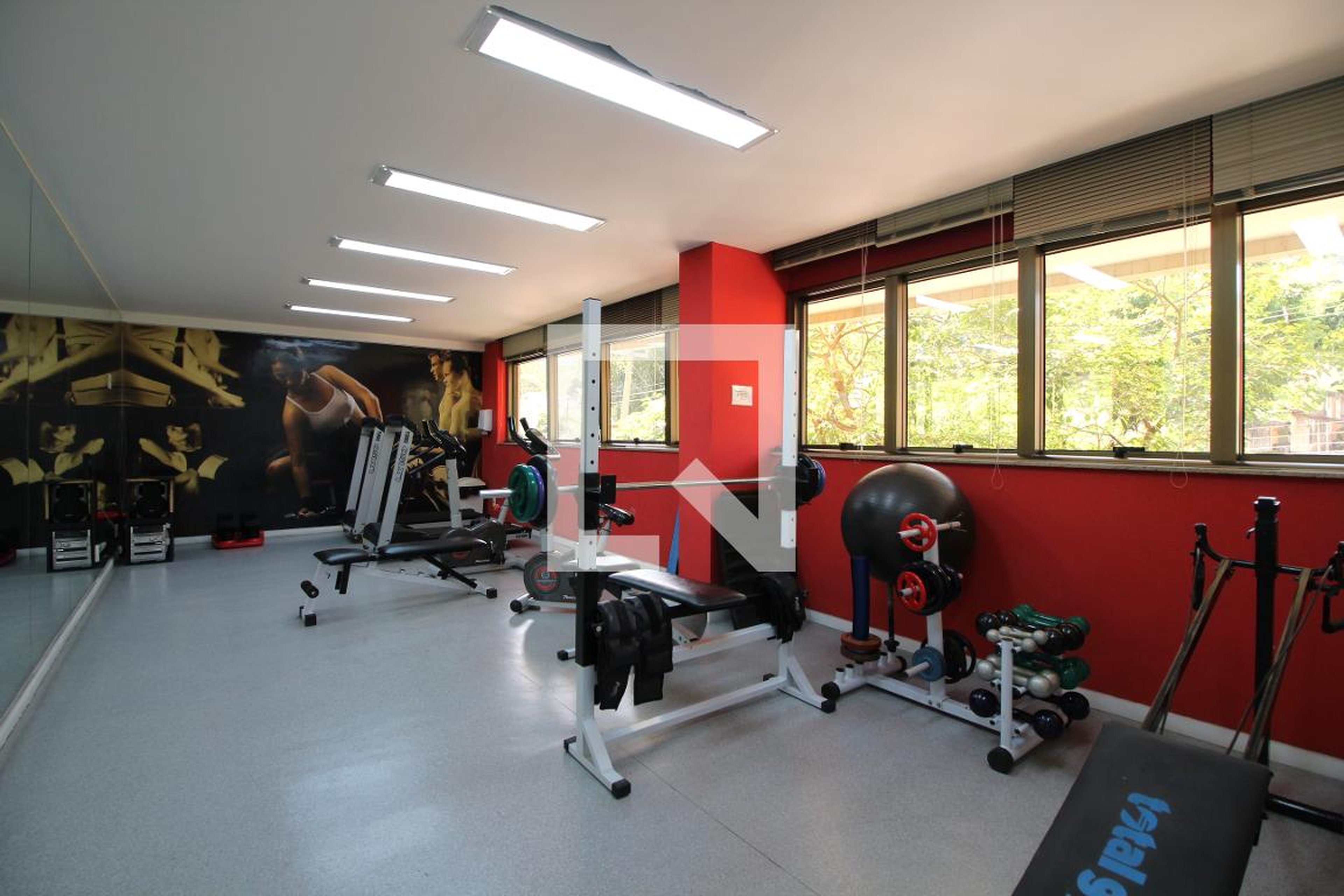 Academia - Green Mountain