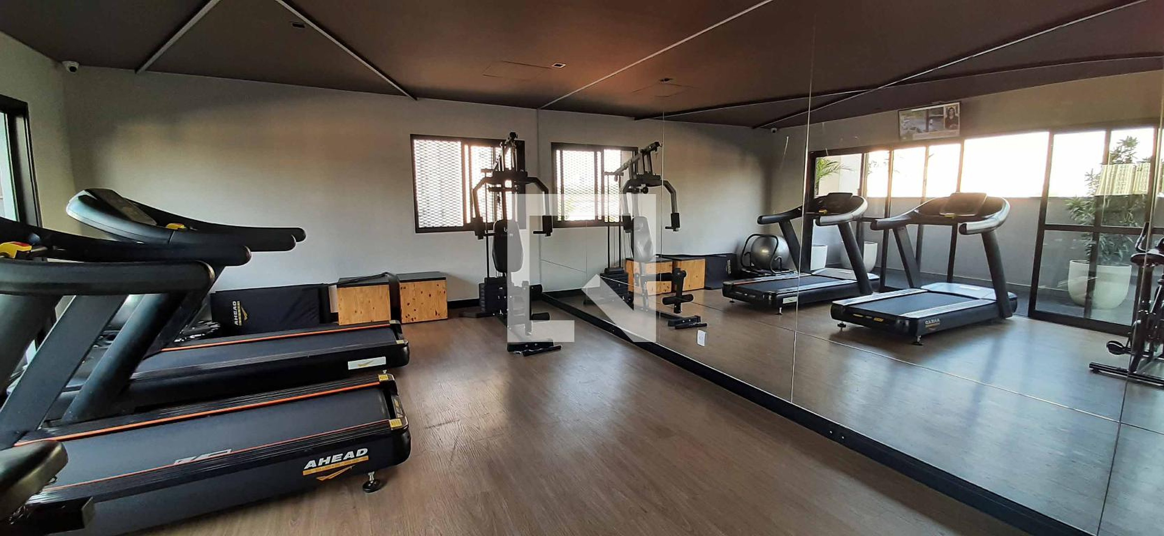 Academia - HartAltino