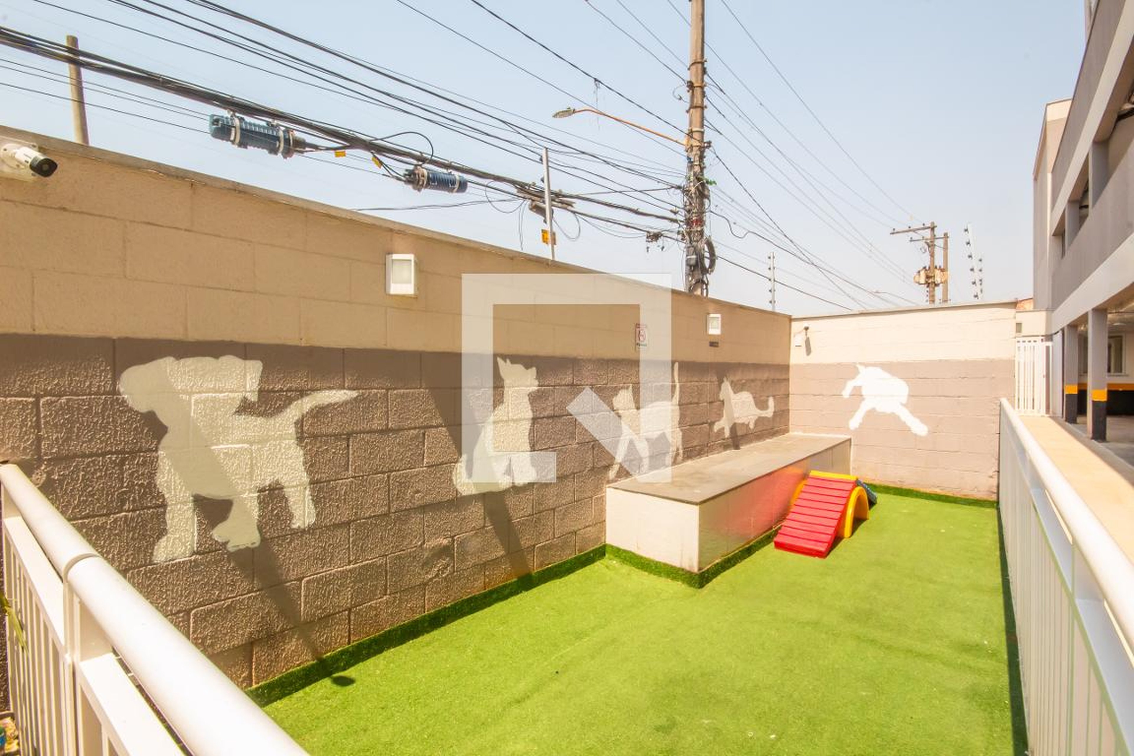 Espaço Pet - Raro Capelinha