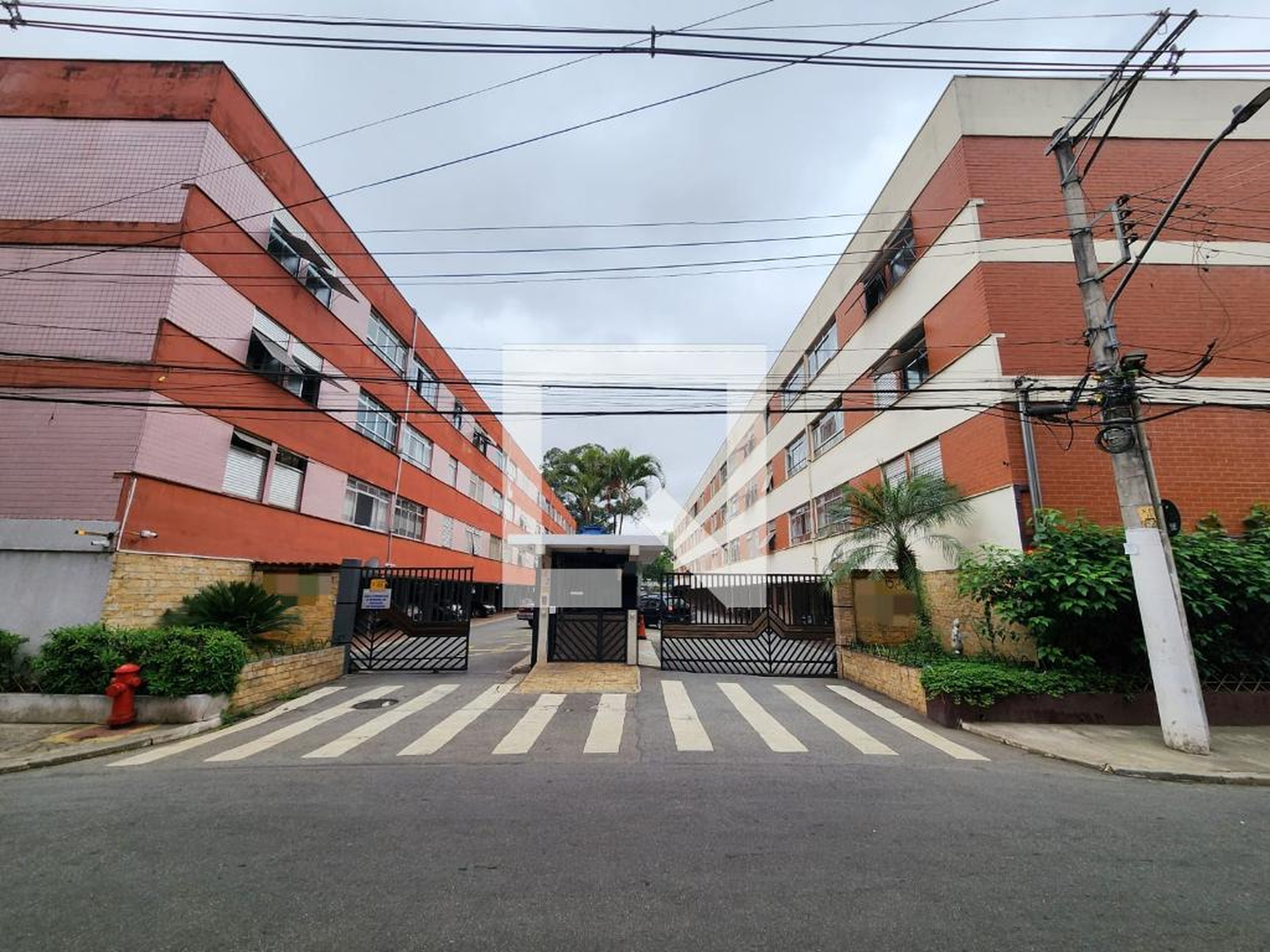 Entrada - Ribeirão Preto