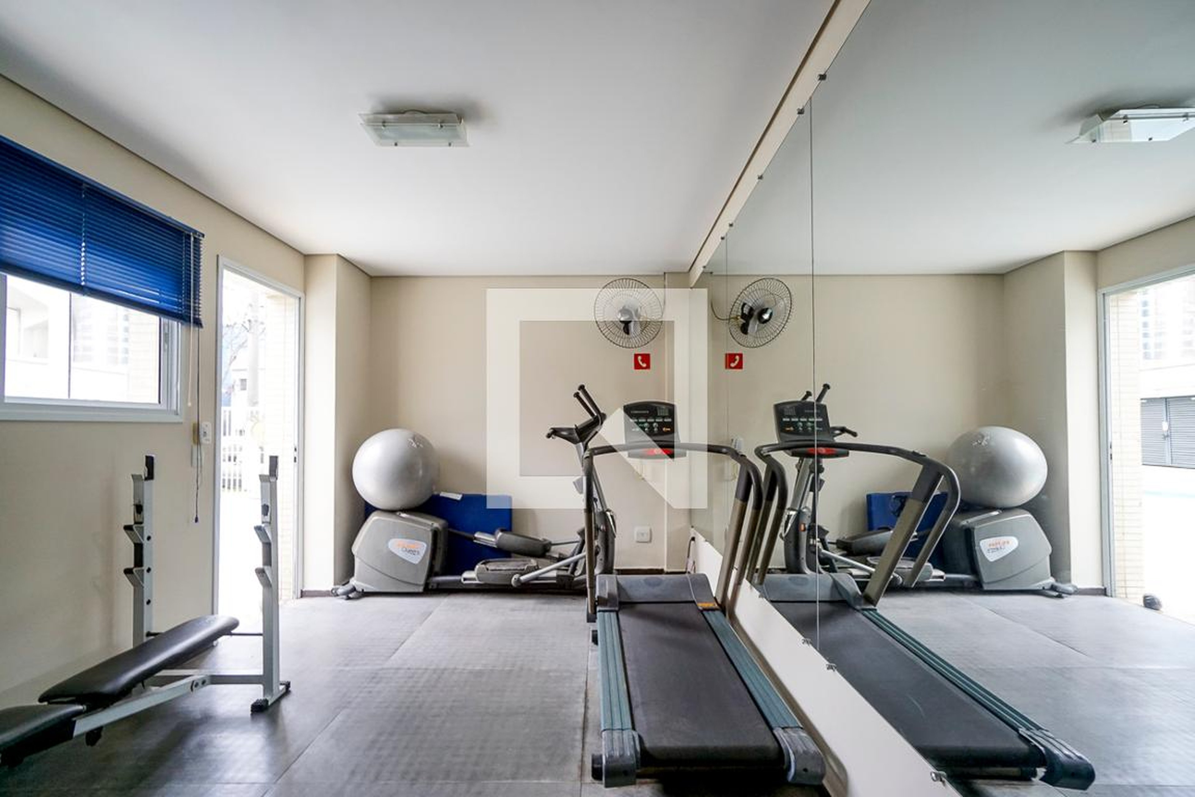 Academia - Sun Flower