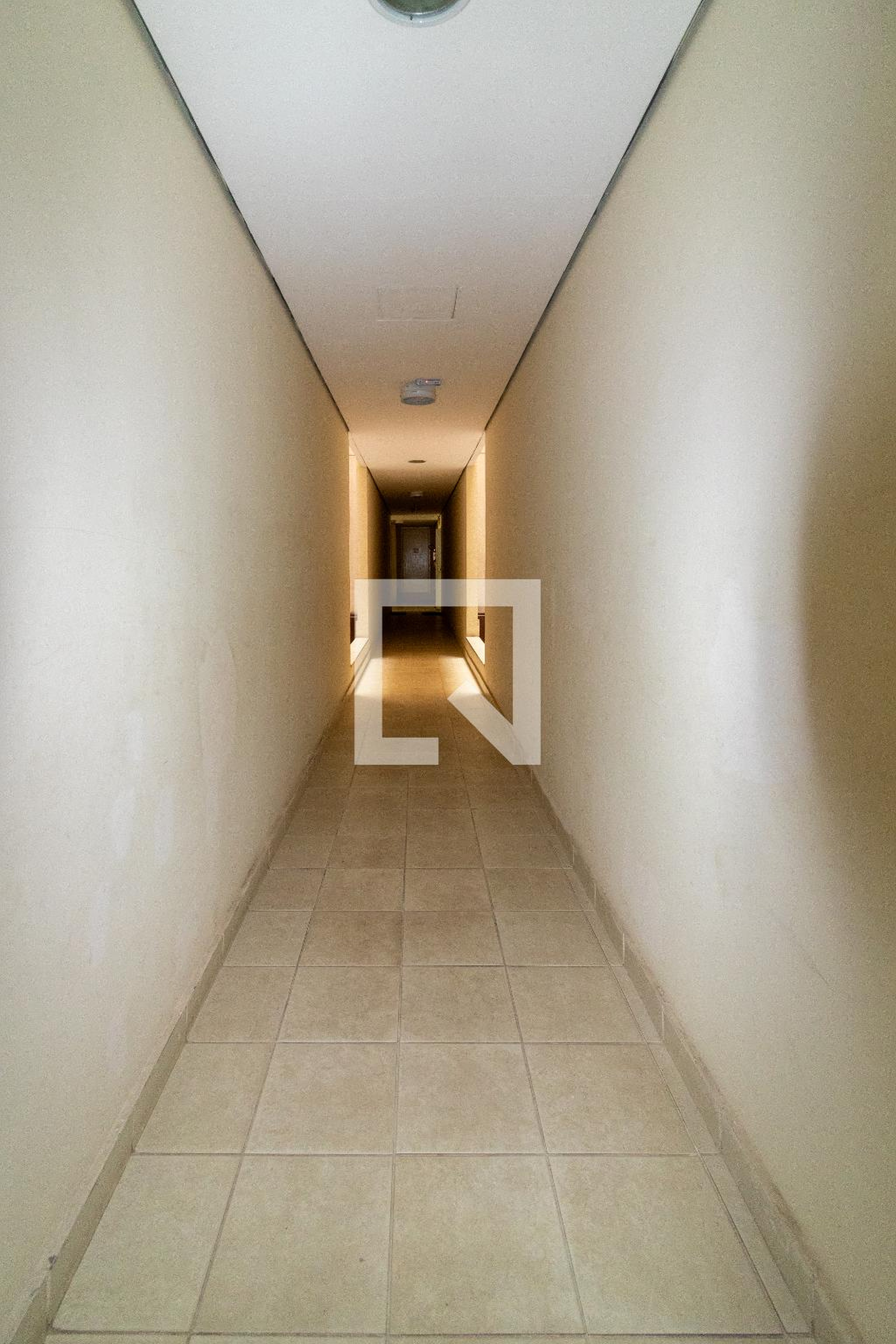 Área externa - Bosque dos Esquilos