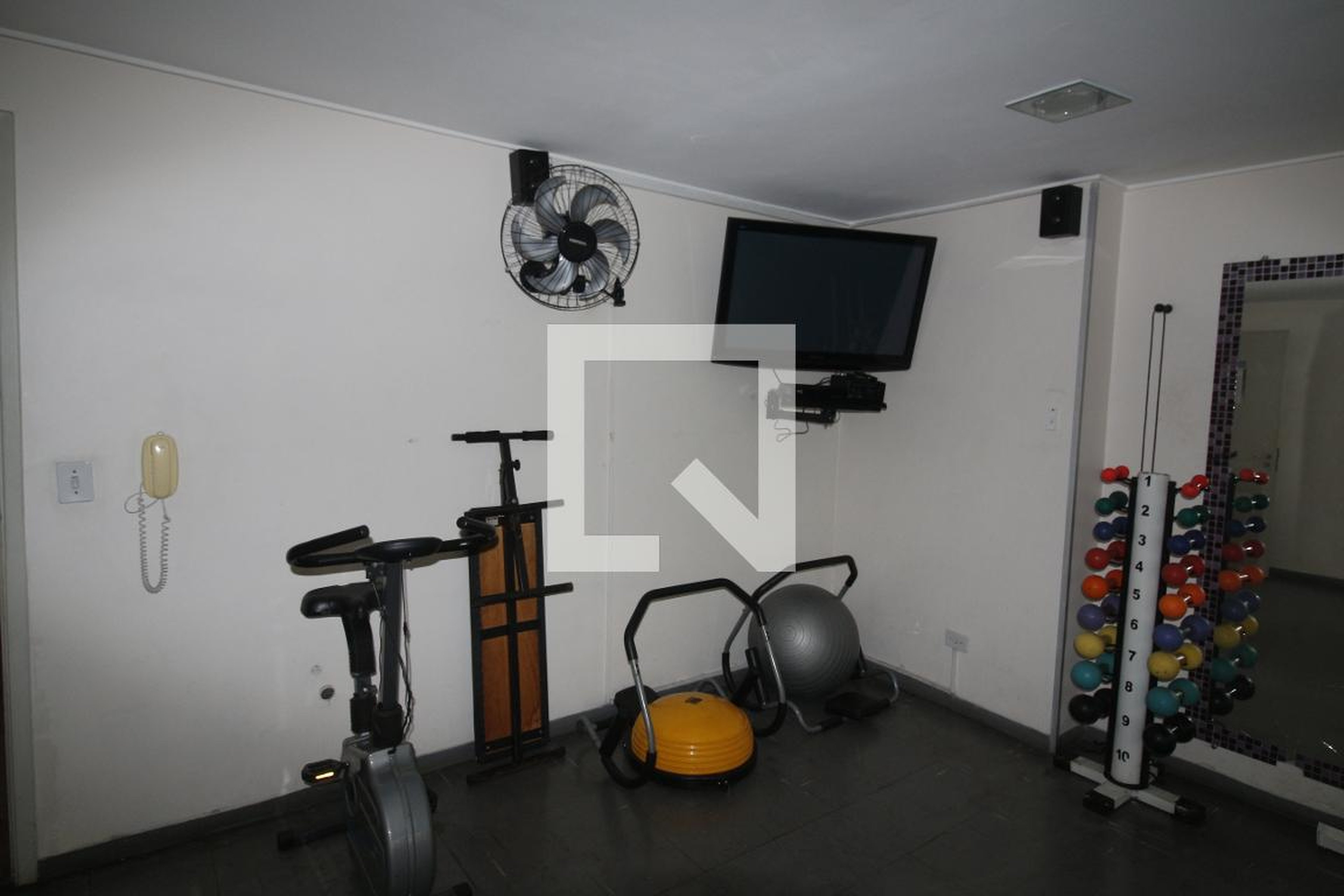 Academia - Diplomata