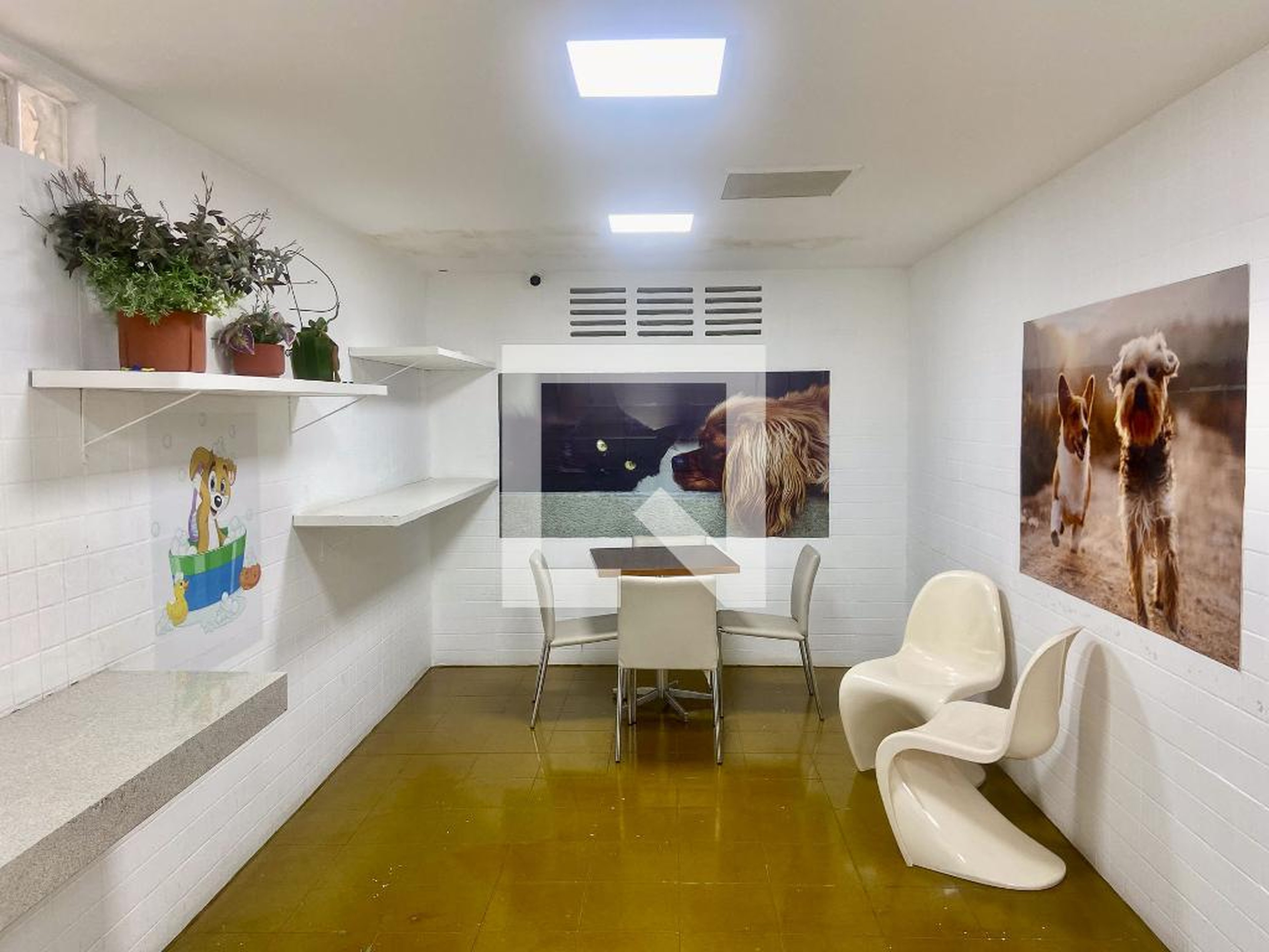 Espaço pet - Monte Magno