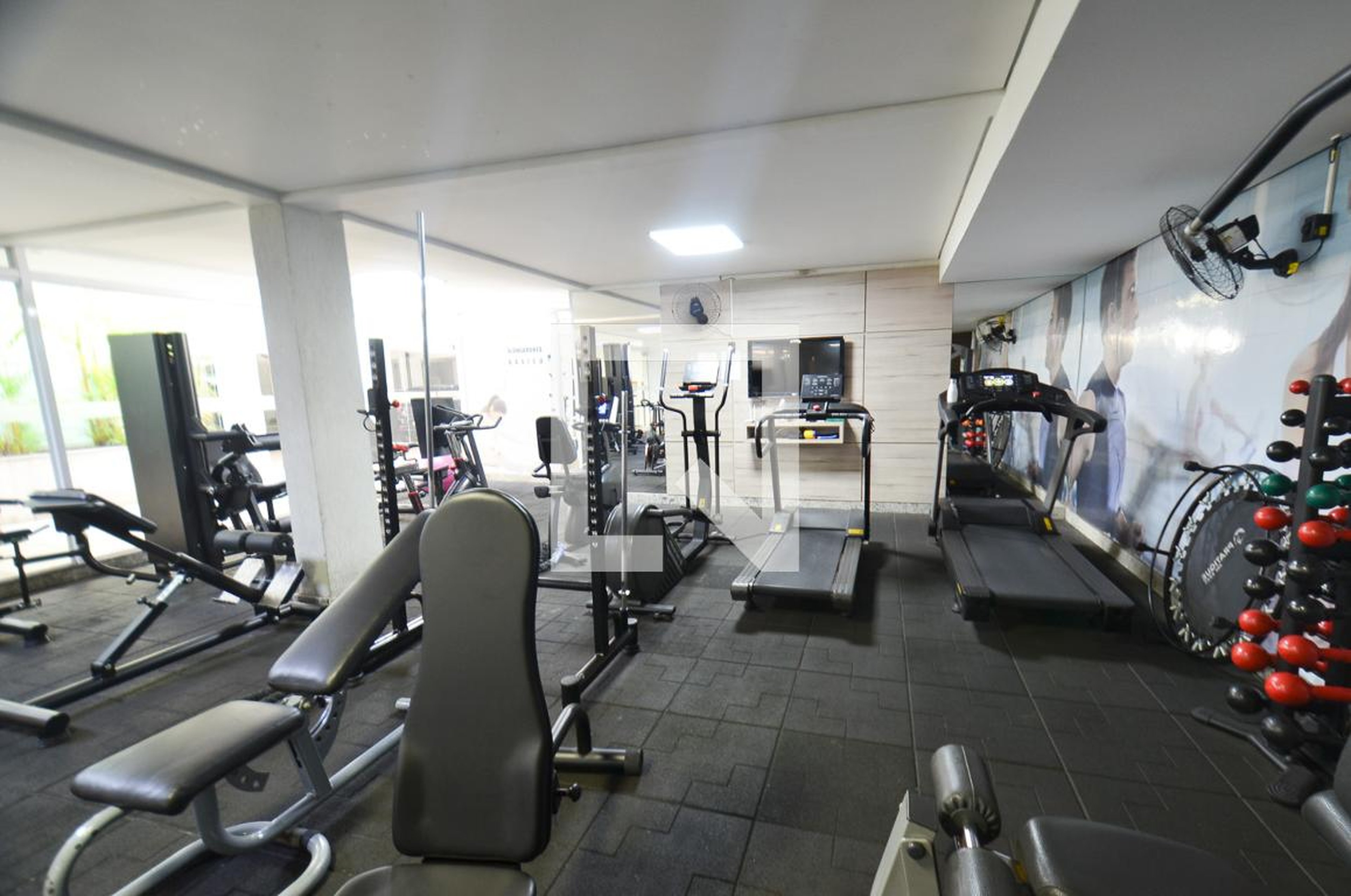 Academia - Faces Sion