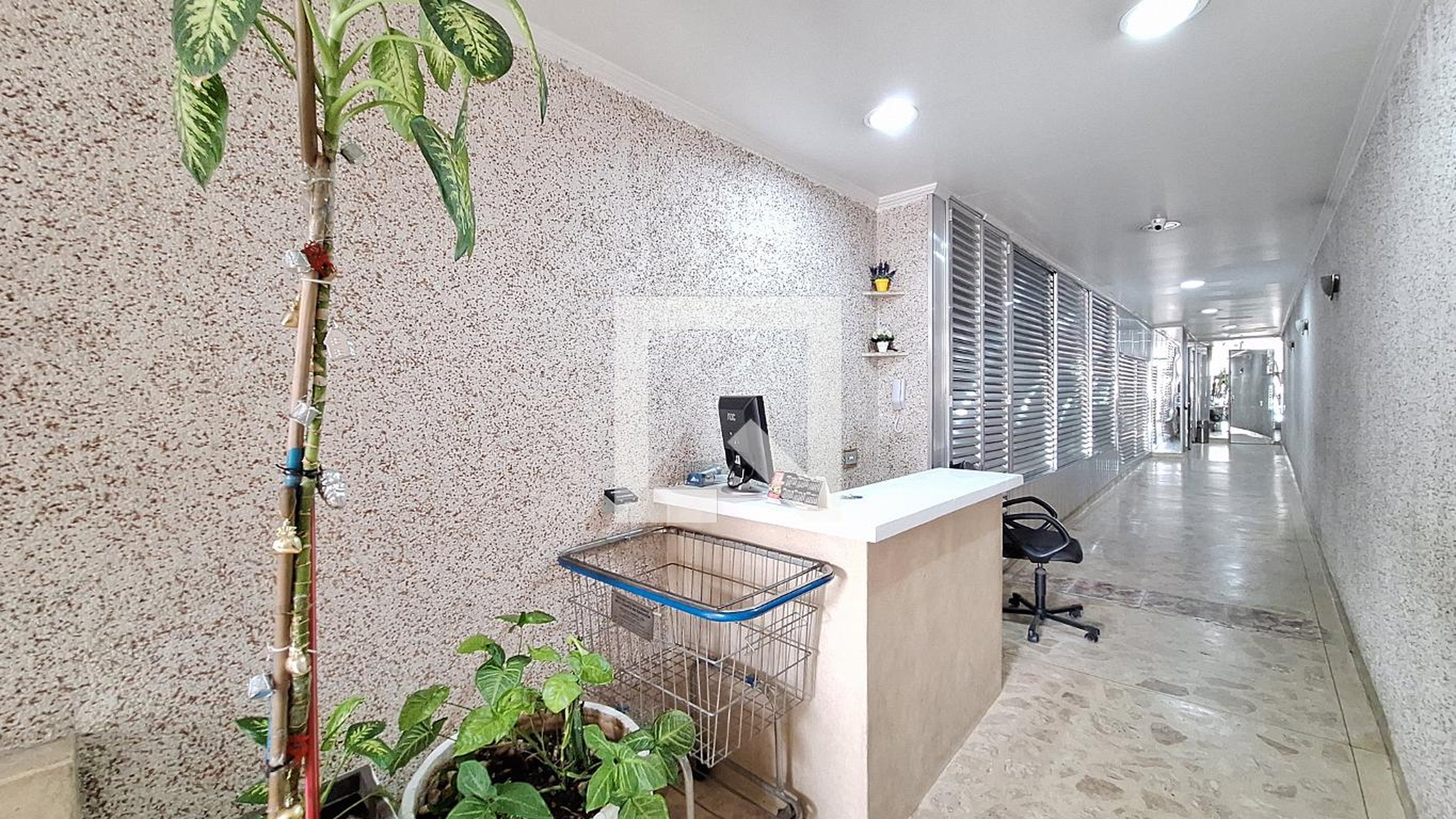 Entrada - Schechtmann