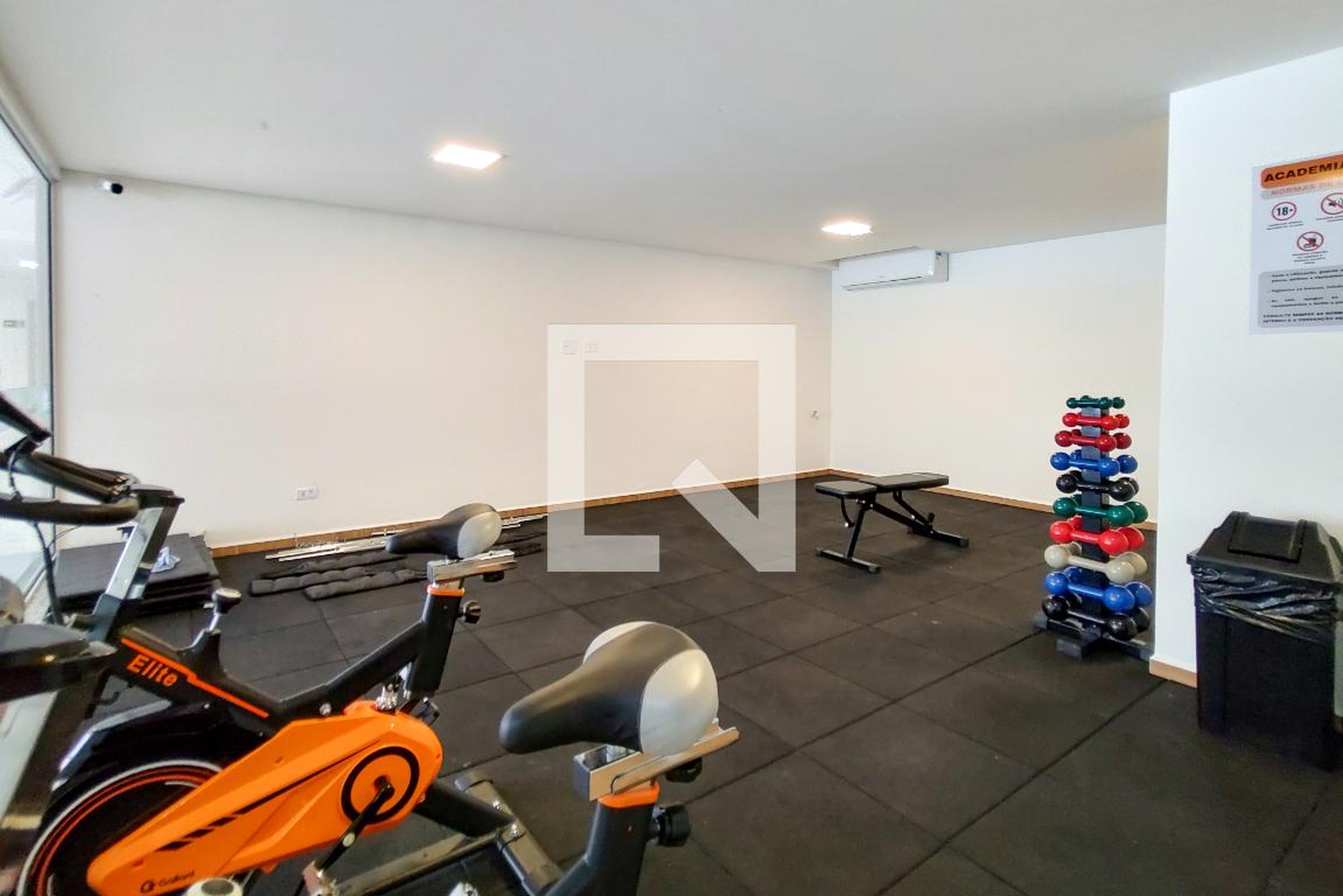 Academia - Tarsila do Amaral