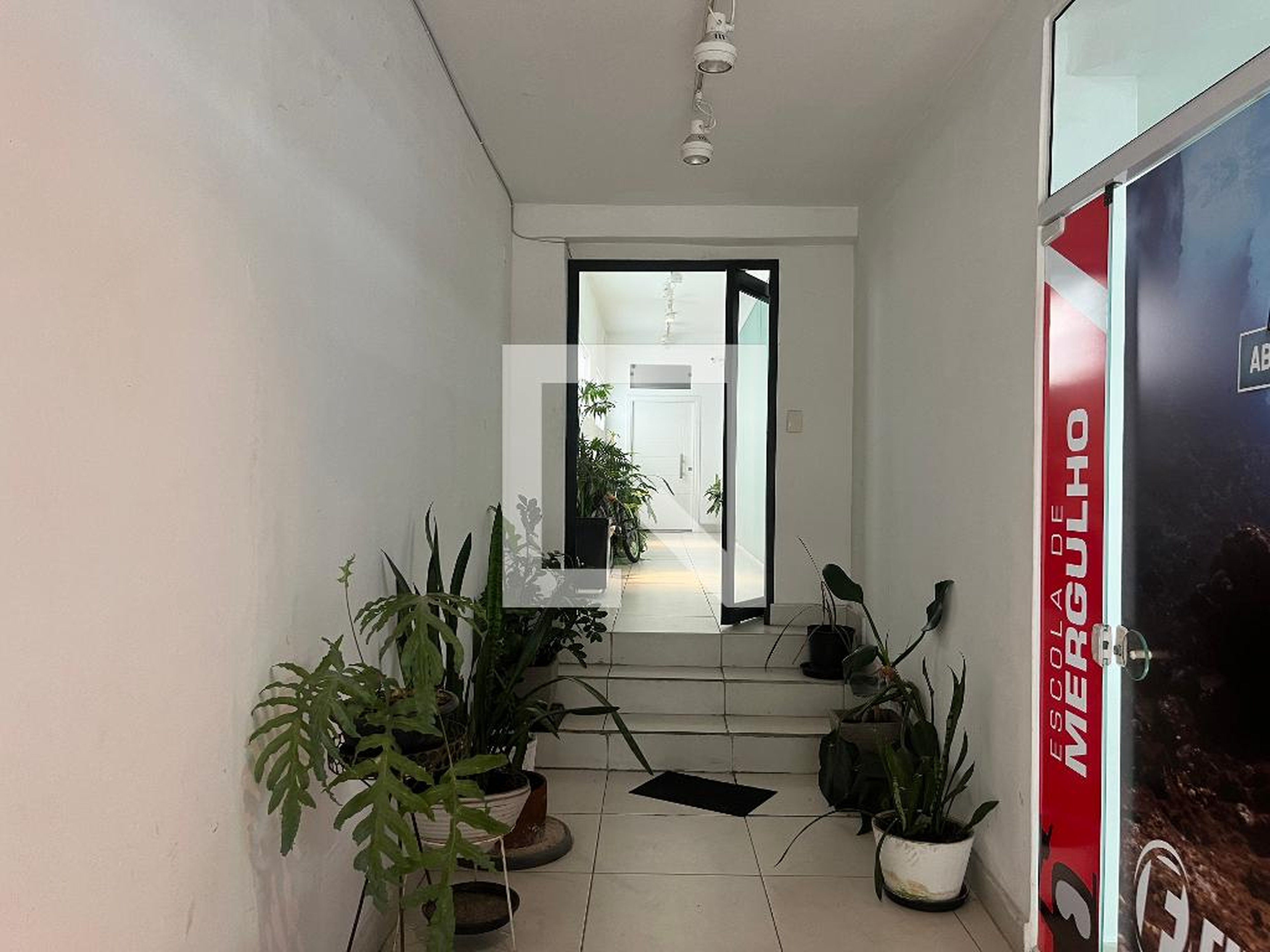 Entrada - Luís Góis