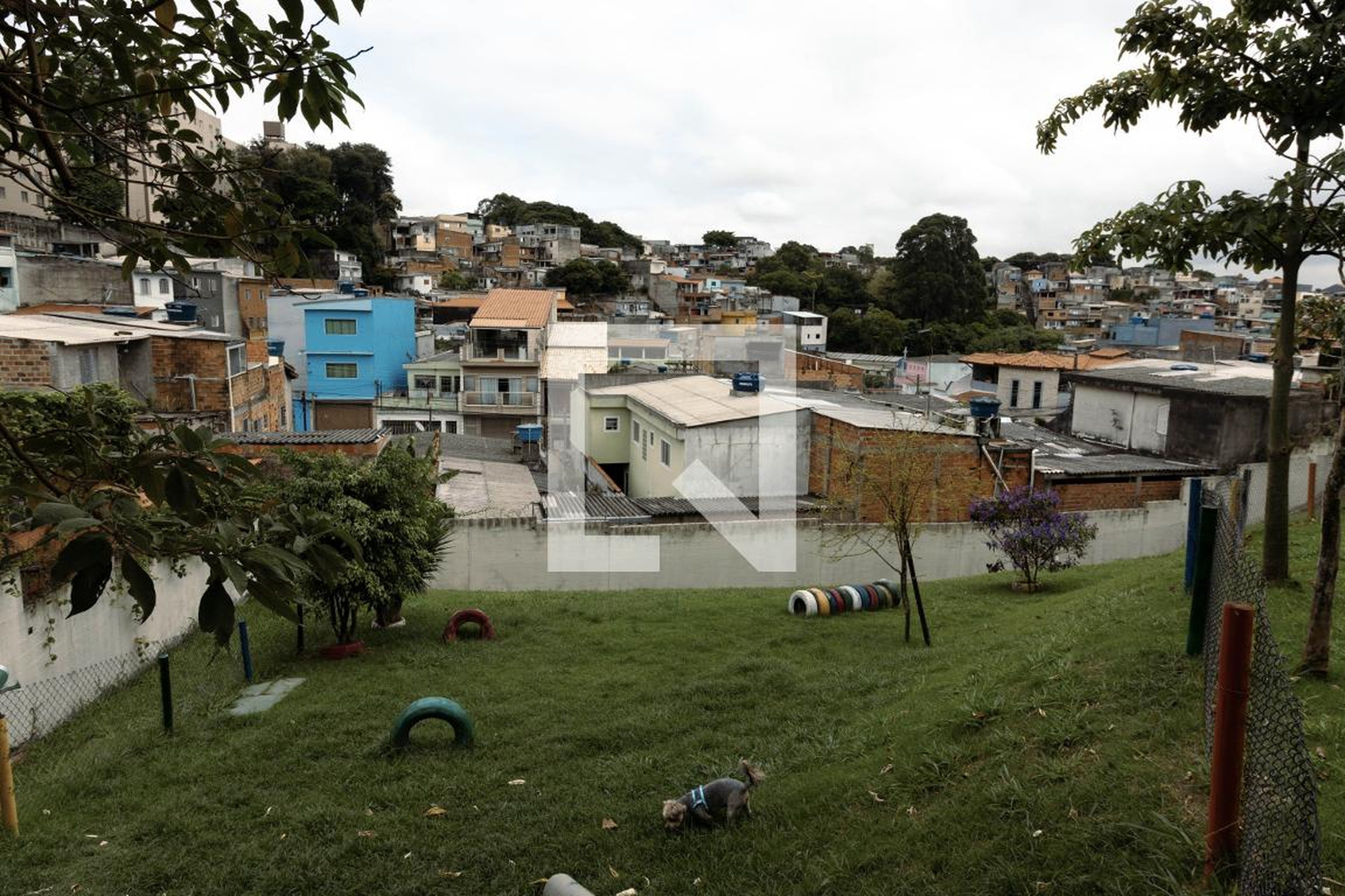 Espaço Pet - Mais Cangaiba