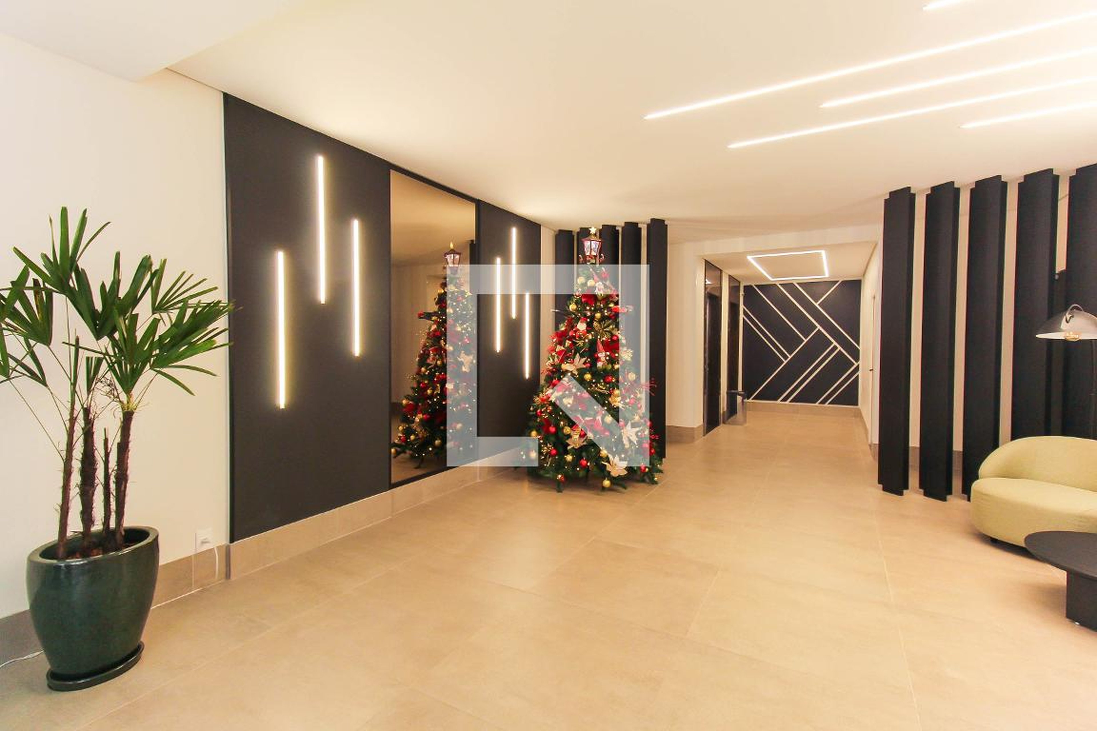 Hall - Stupendo ianciano
