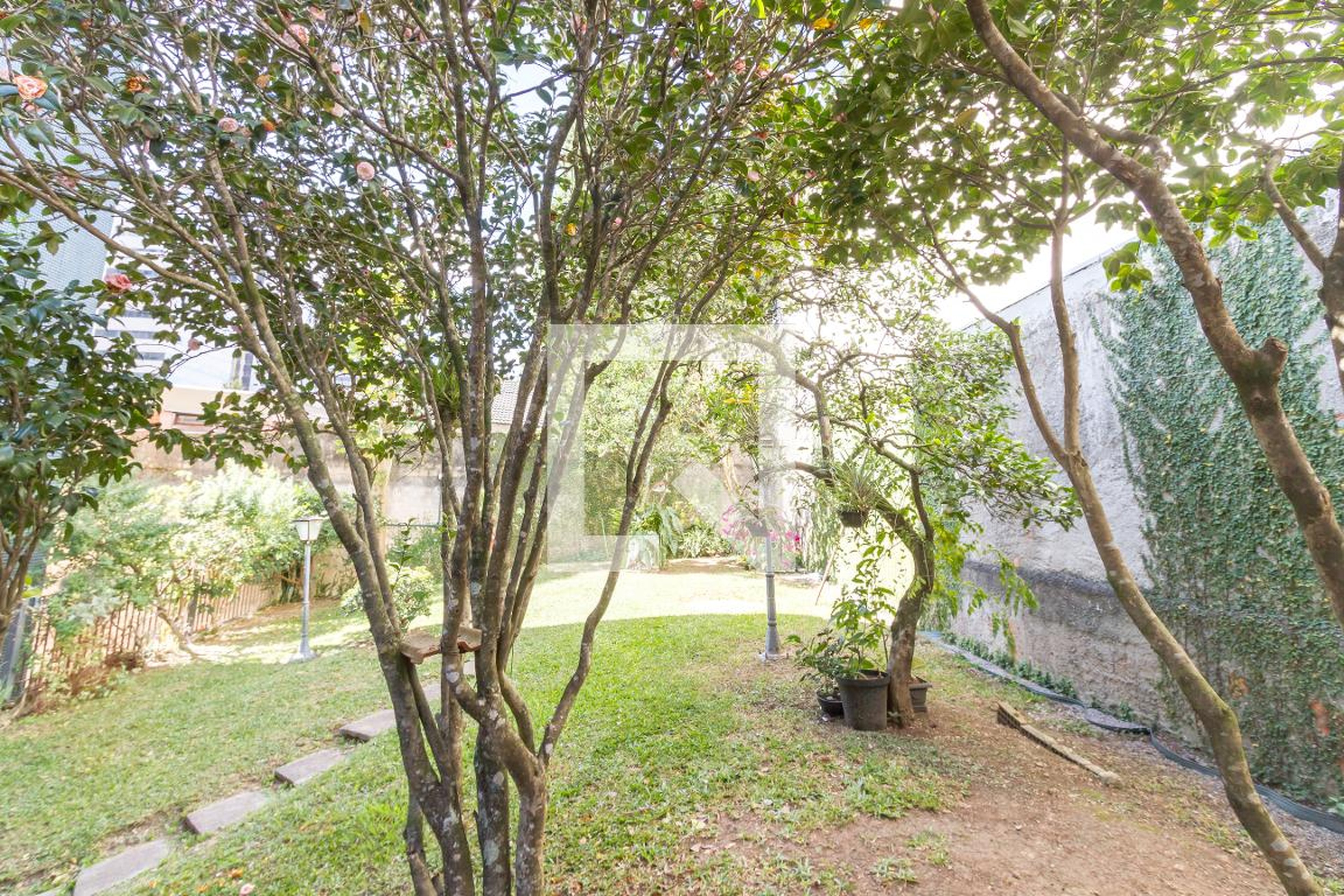 Área comum - Ilha do Arvoredo