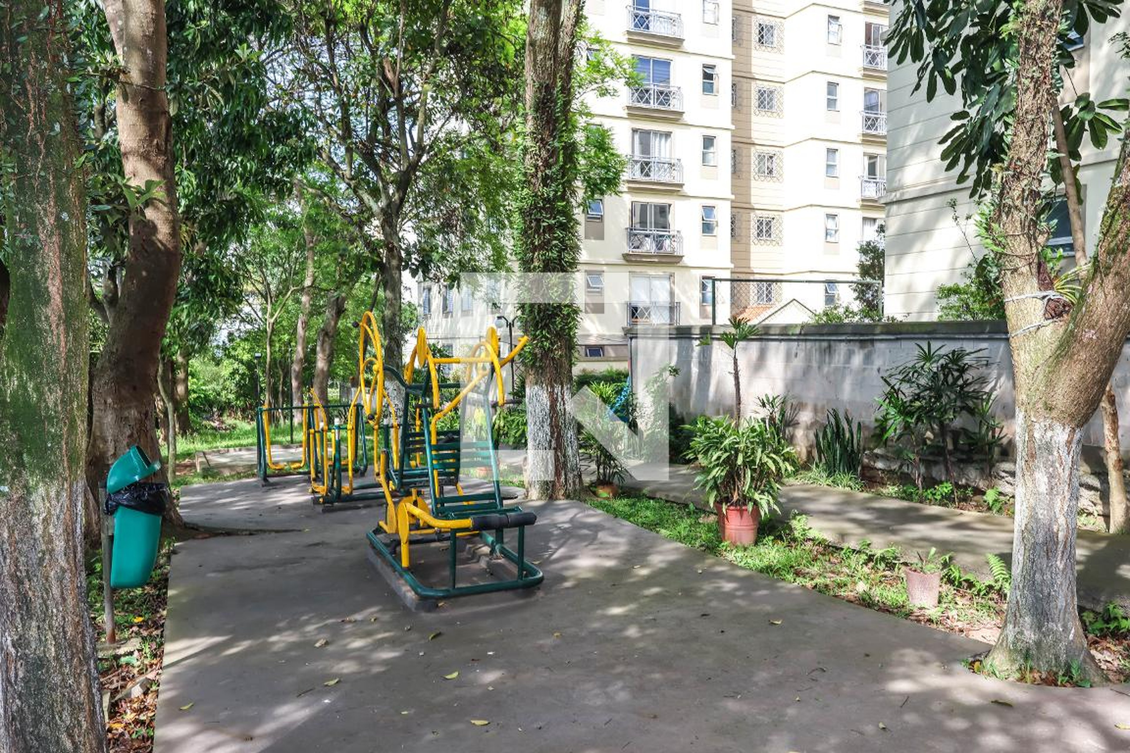 academia - Santa Tereza