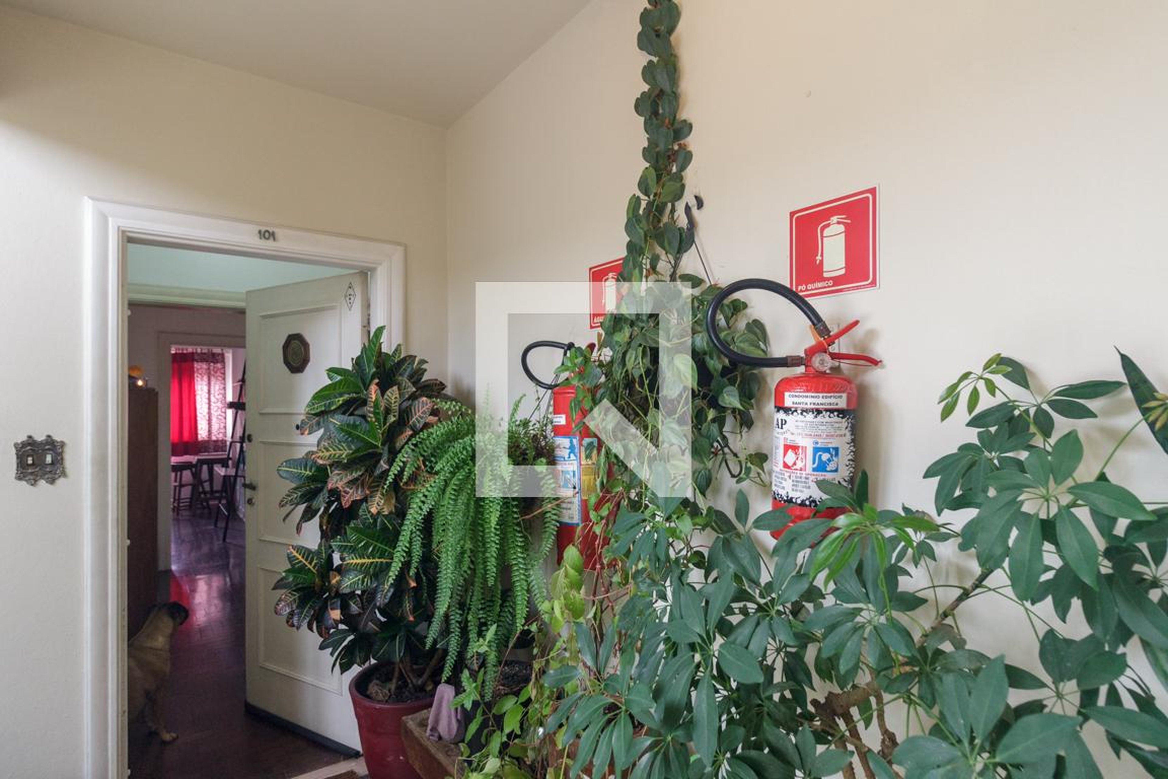 Hall de Entrada - Santa Francisca