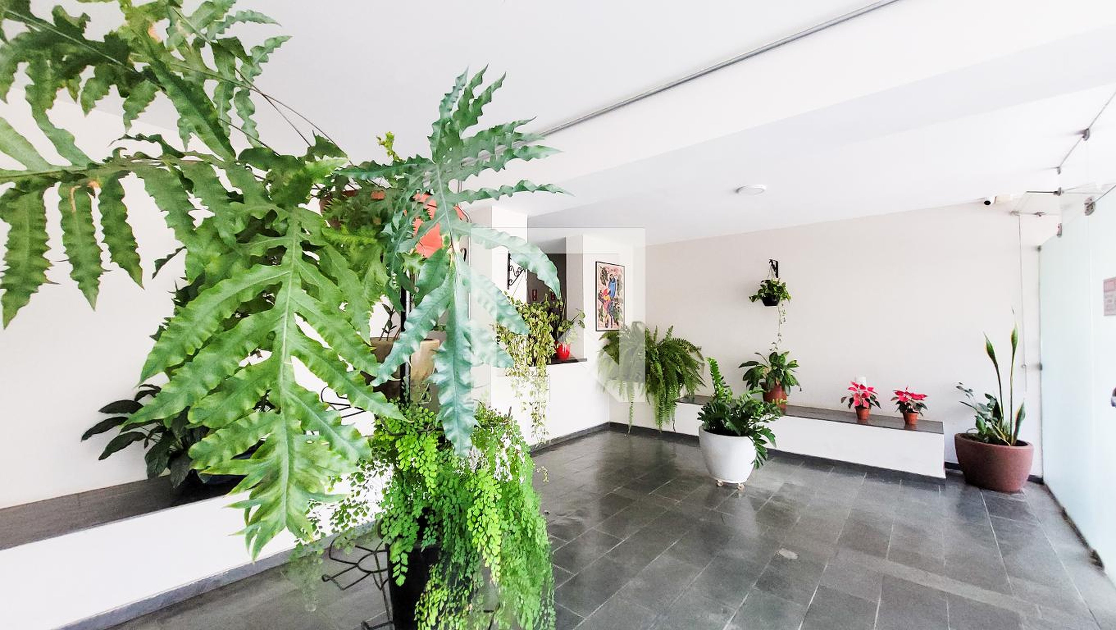 Hall social - Edifício Auana