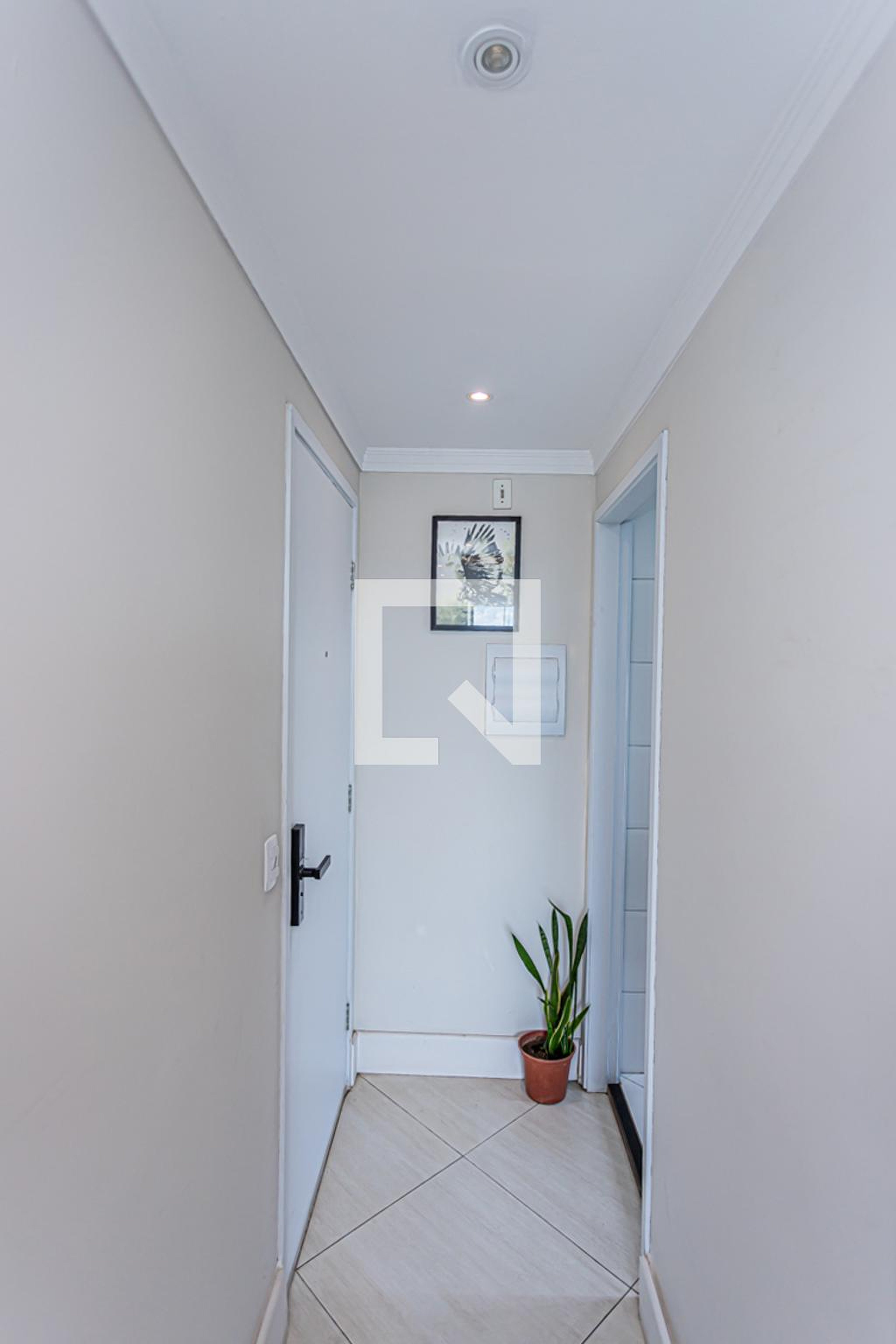 Entrada - Blue Sky - Limão