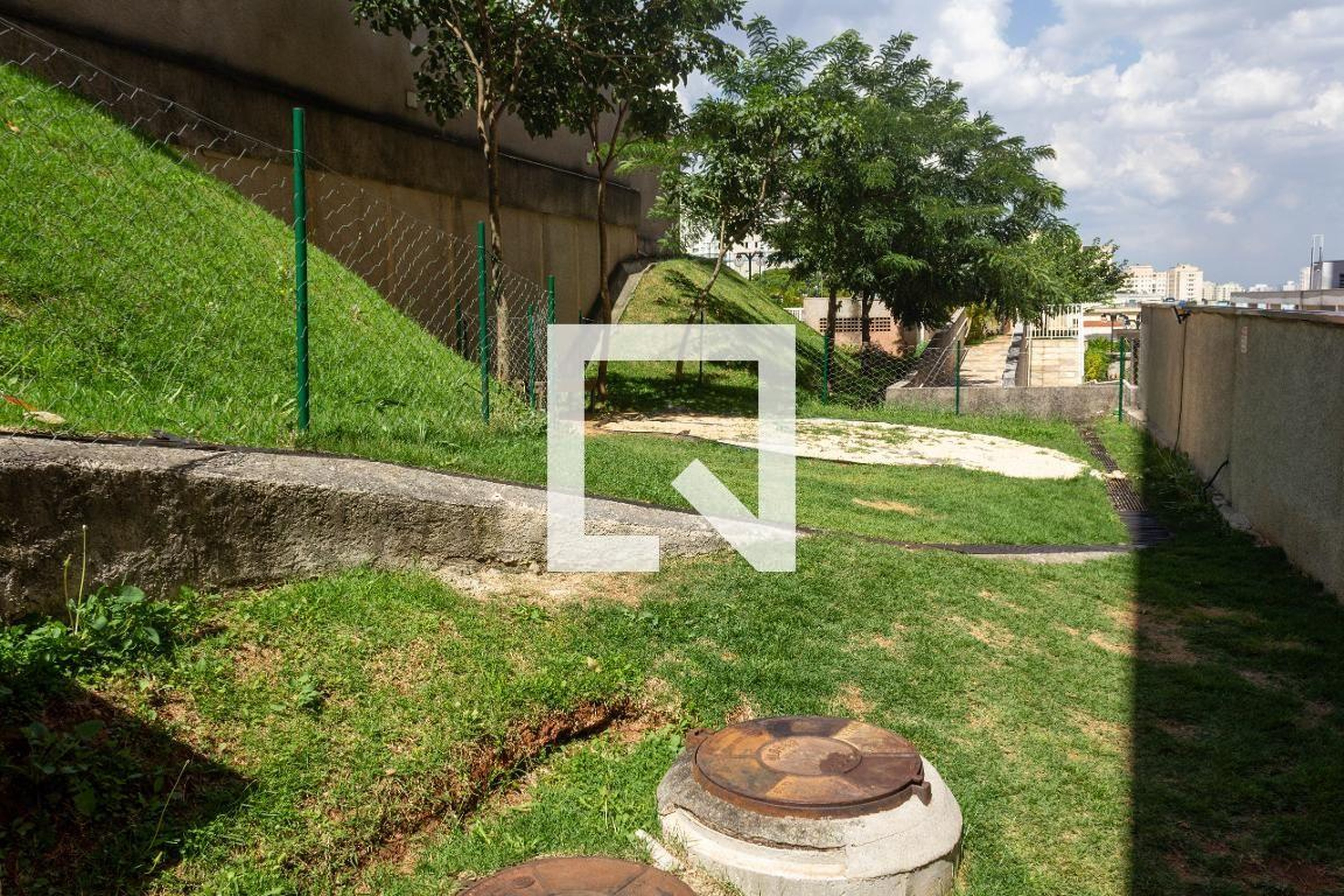 Espaço pet - Hit High Limão