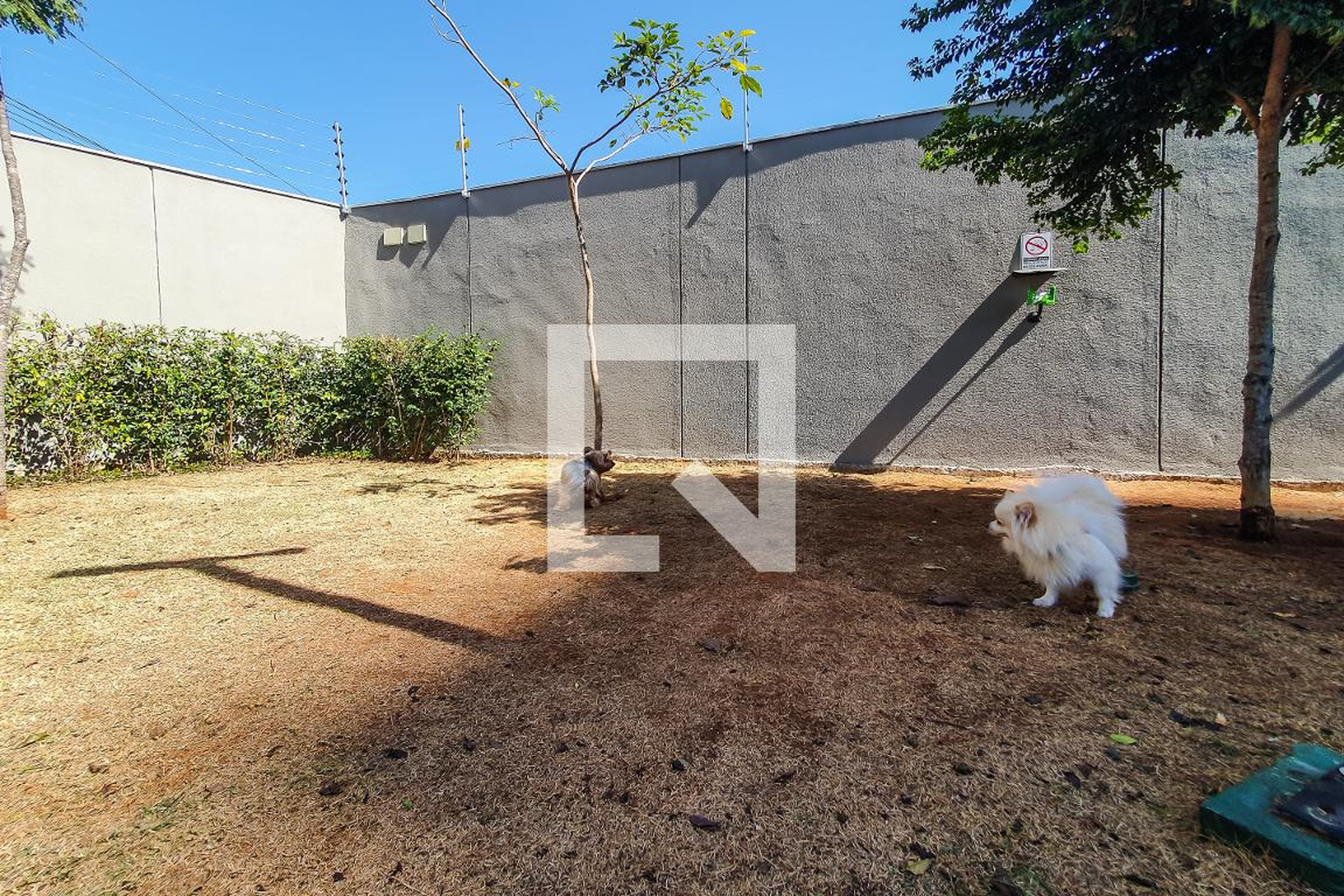 Espaço PET - Amadis Clube Ipiranga