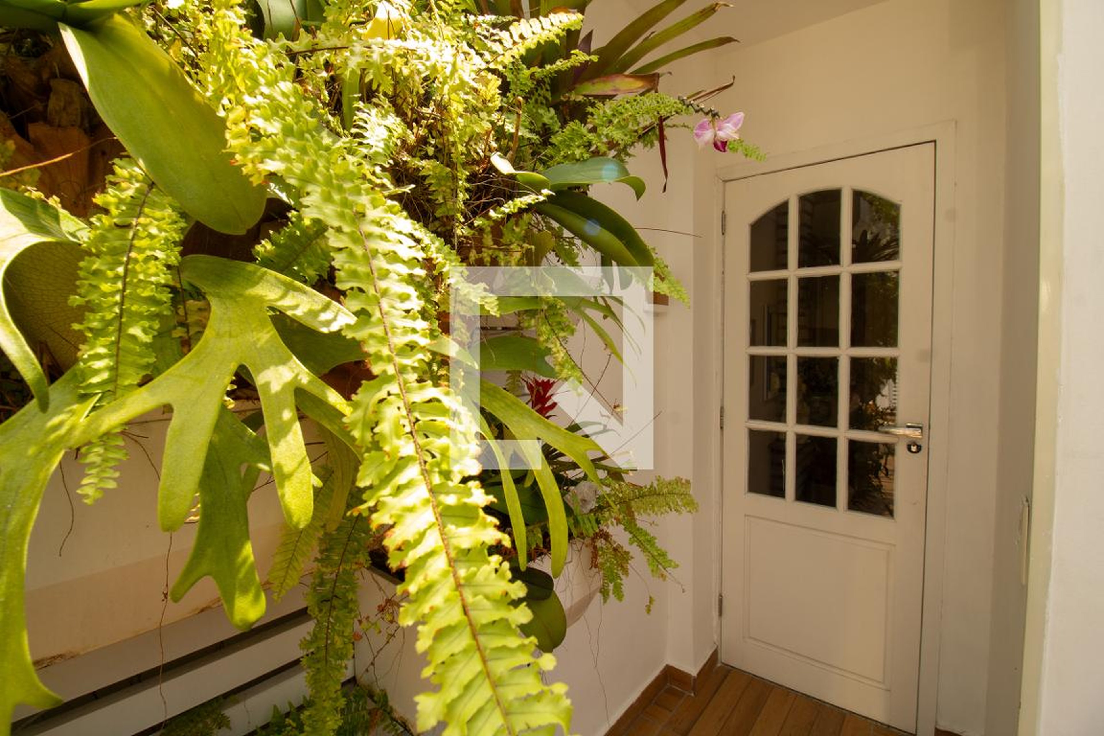 Hall de entrada Condomínio em Rua Zoila de Abreu Teixeira, 117