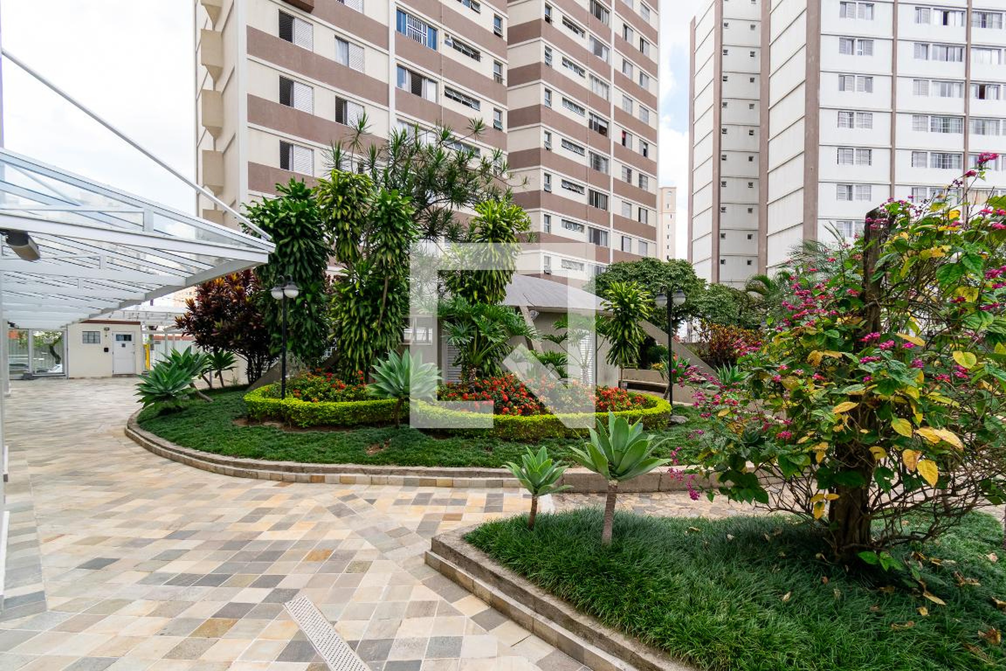 Área comum - Petúnia