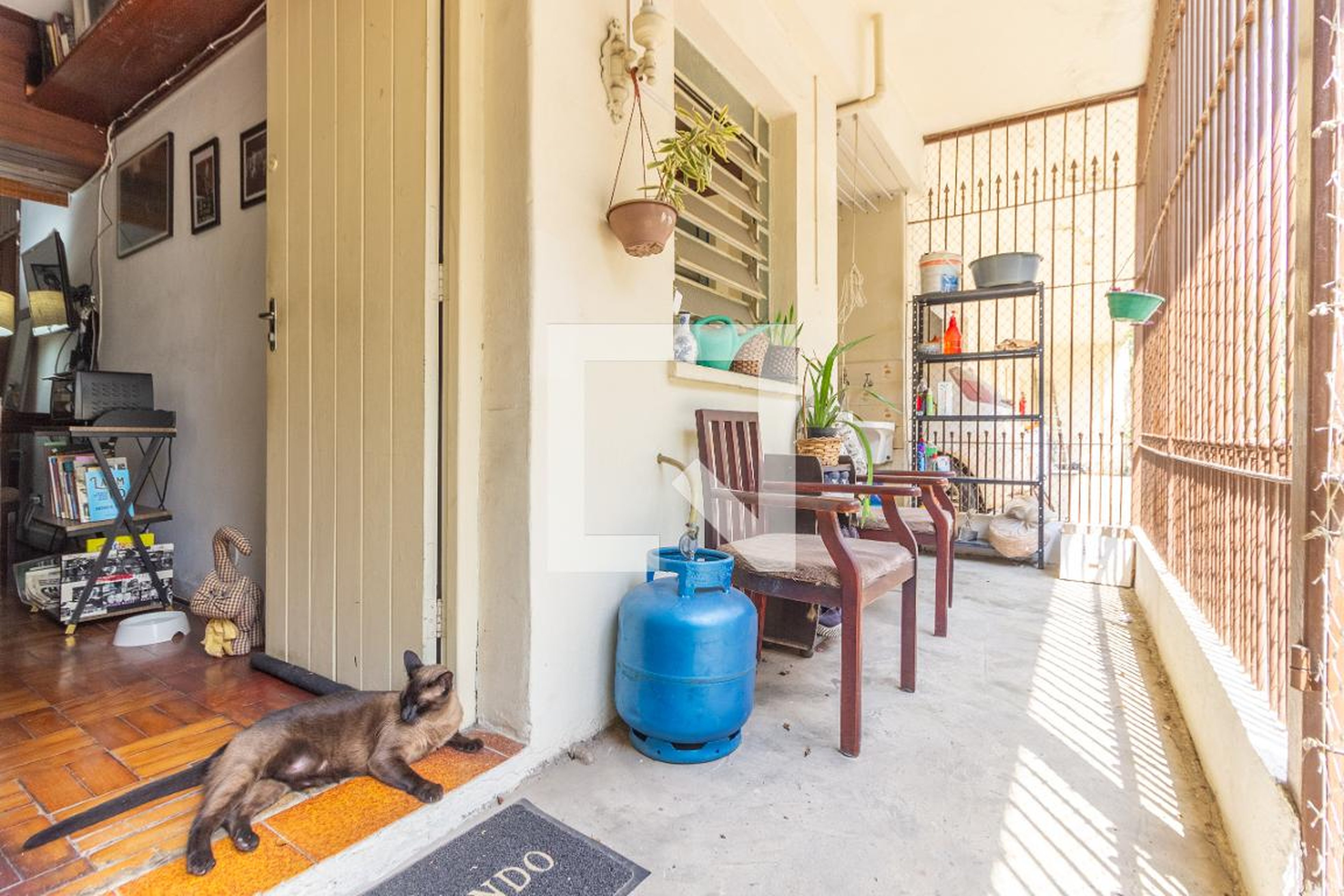 Entrada - Alice Genin