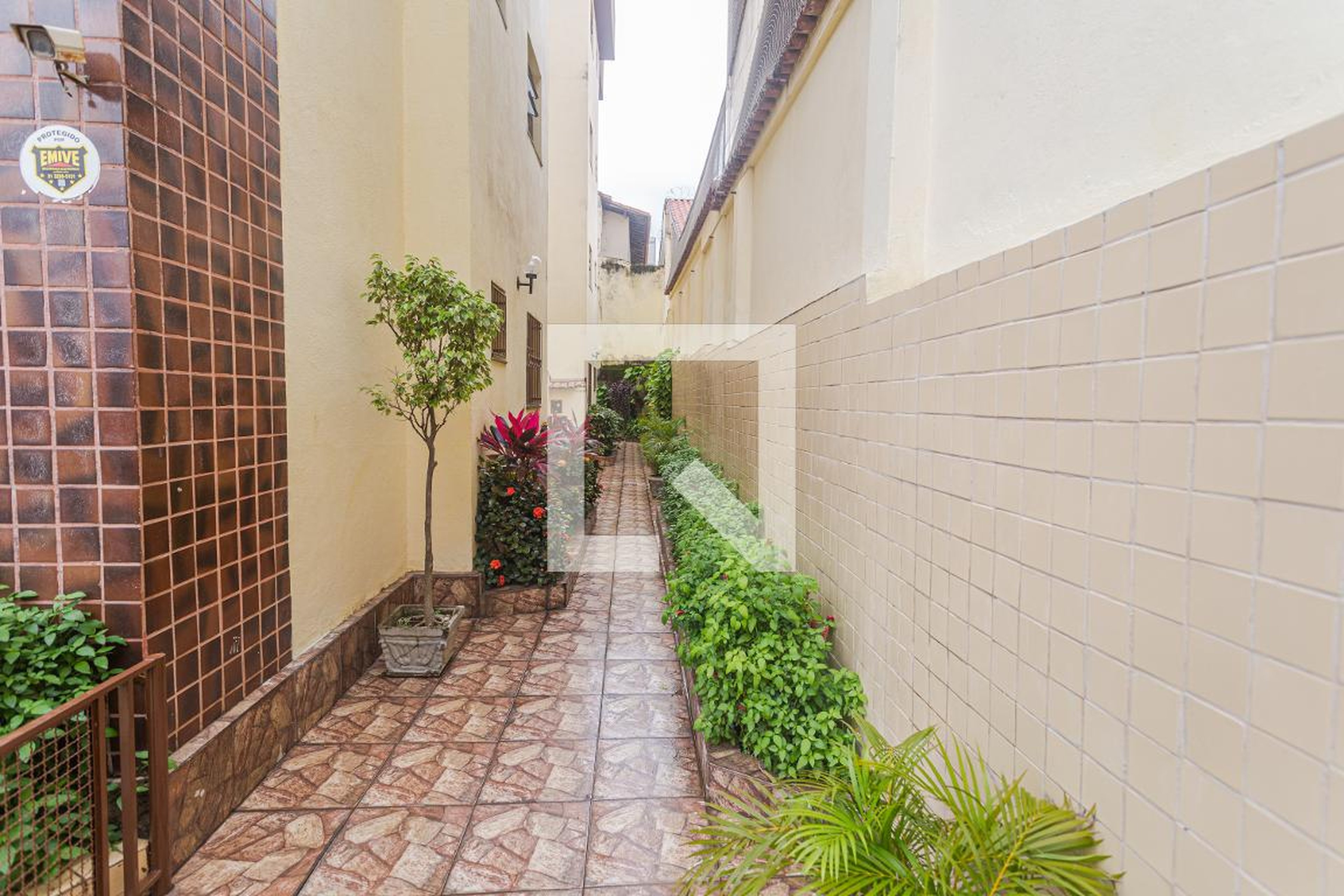 Hall de Entrada - null