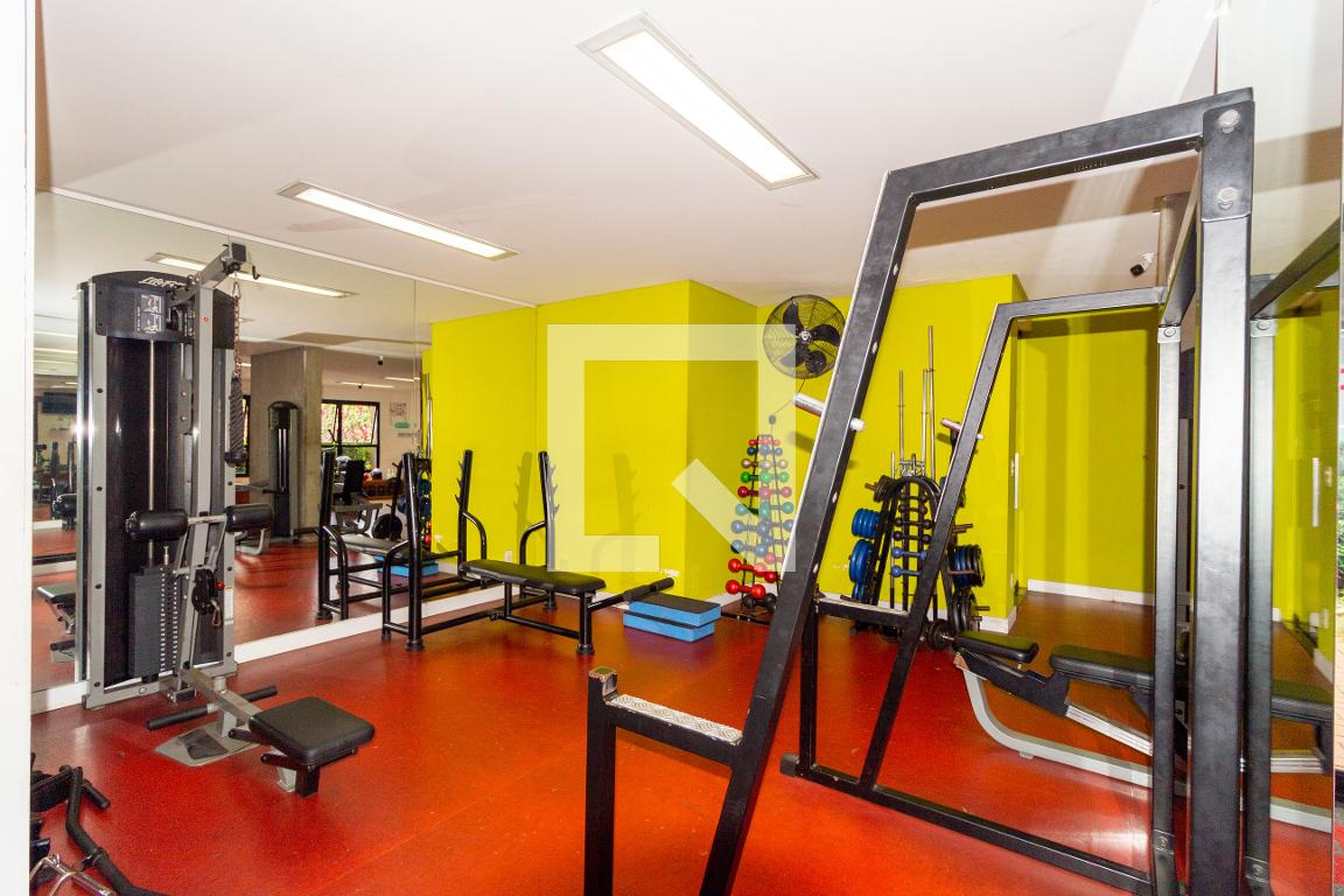 Academia - Maxhaus MC