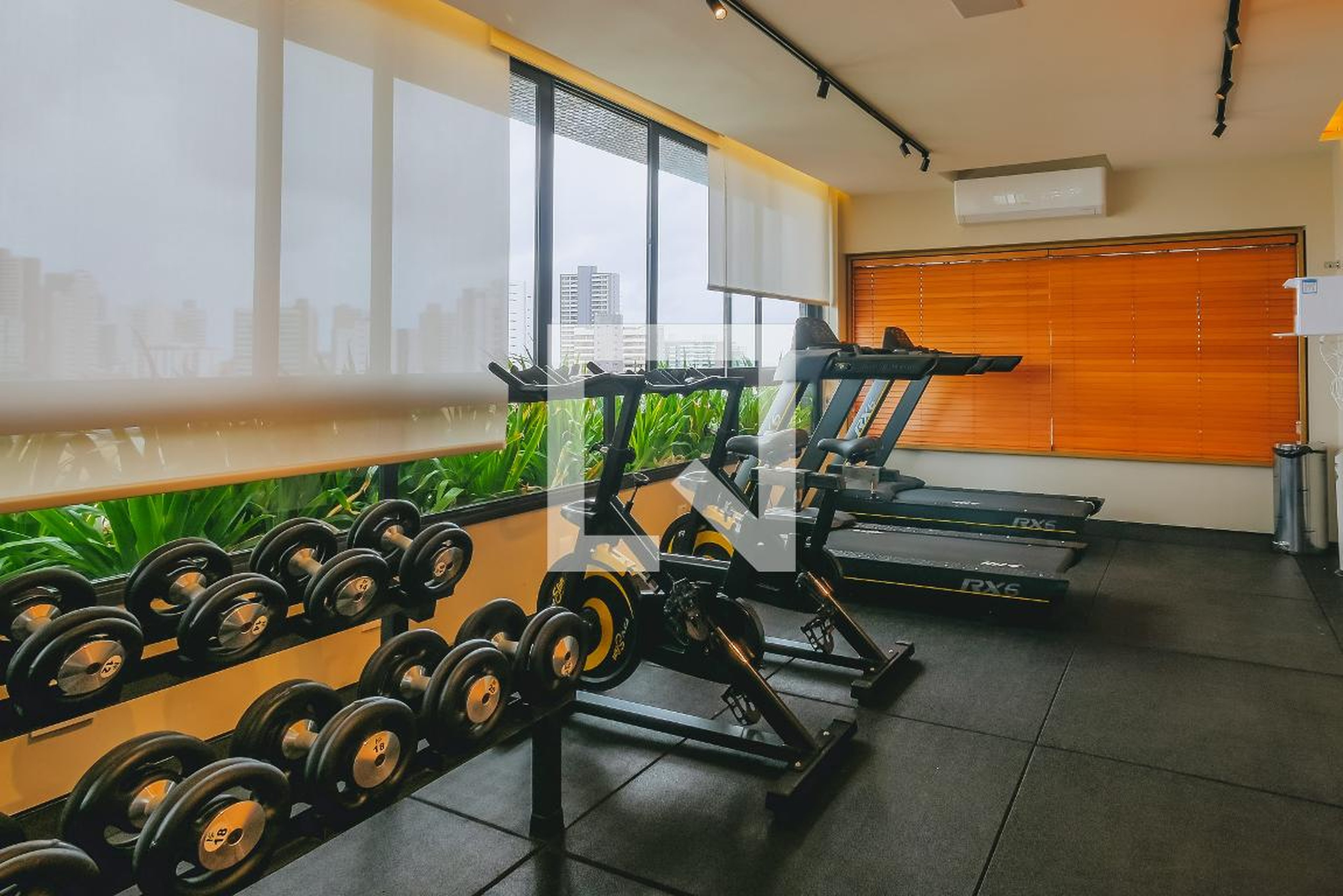 Academia - Blue Barra