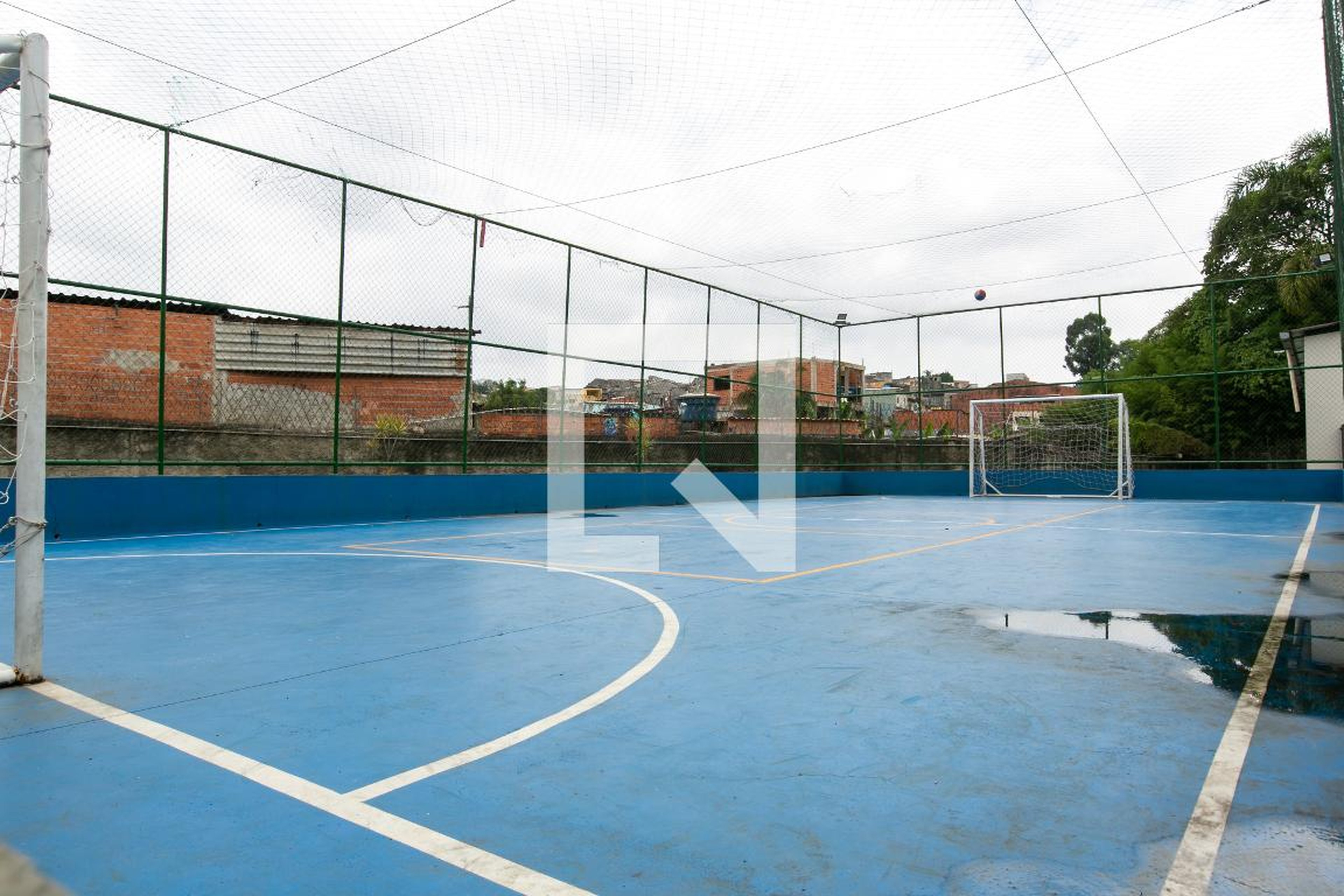 Quadra - Violeta Lírio