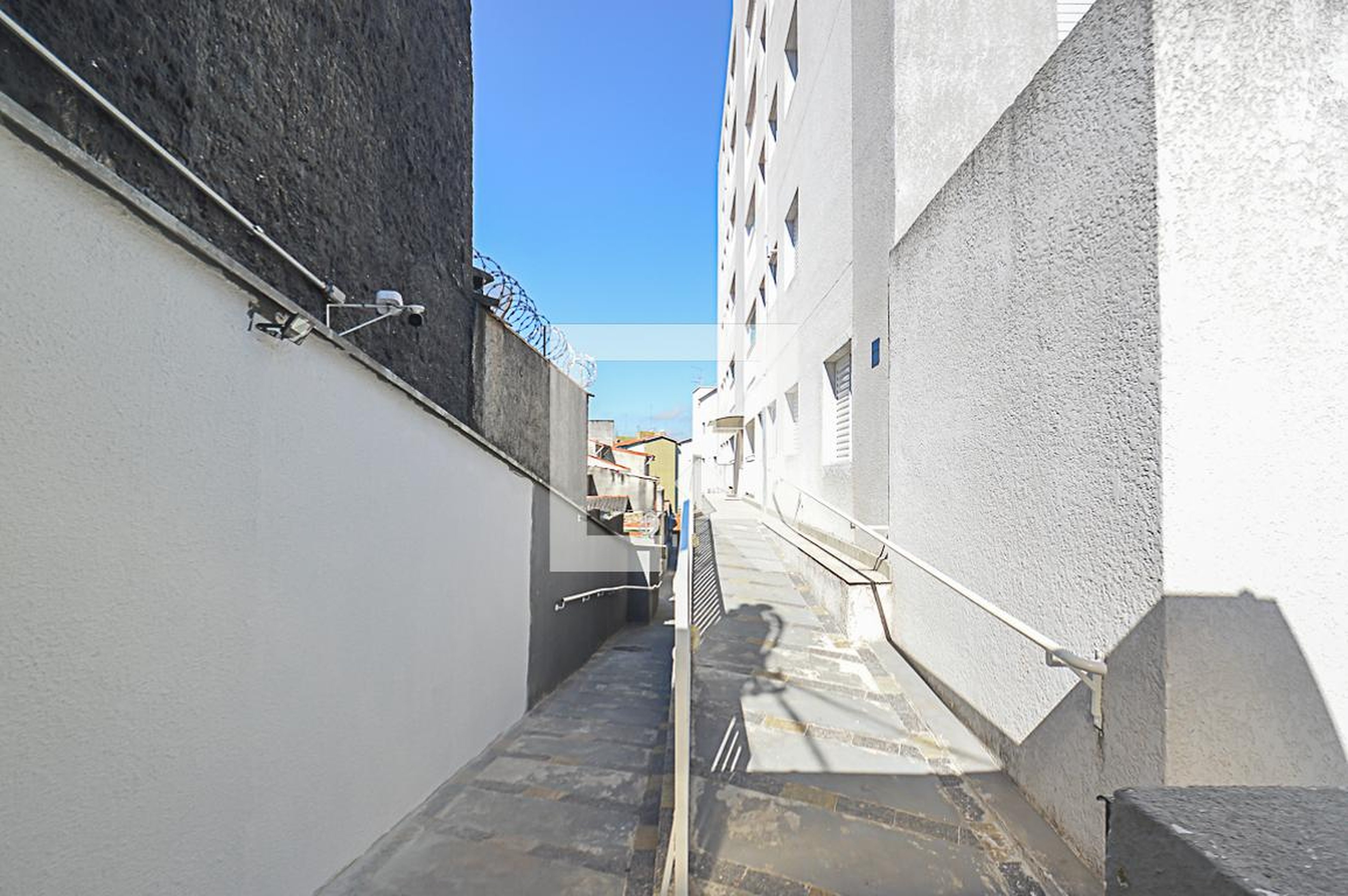 Hall de entrada - Begonias