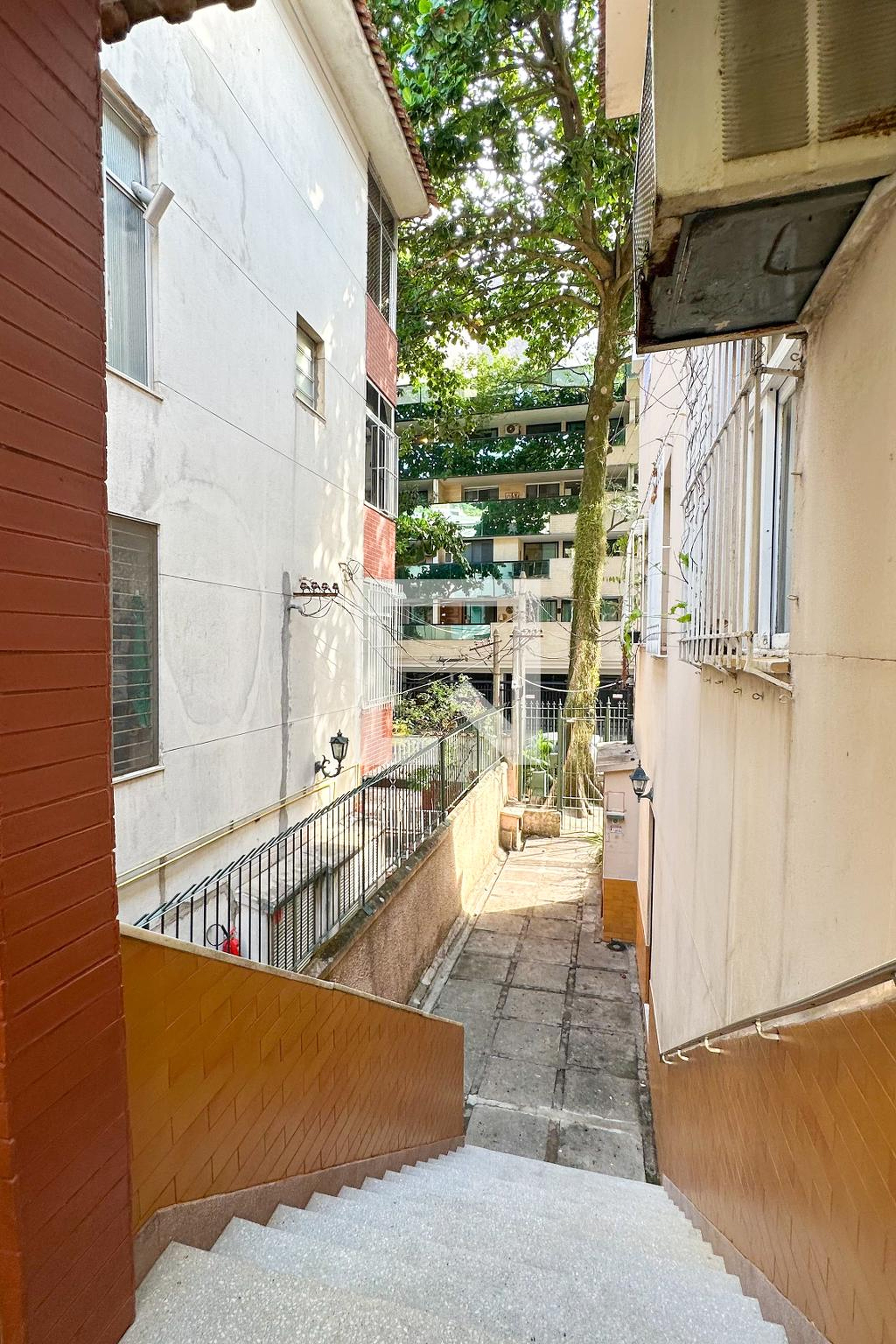 Entrada - Maestro Francisco Braga 2