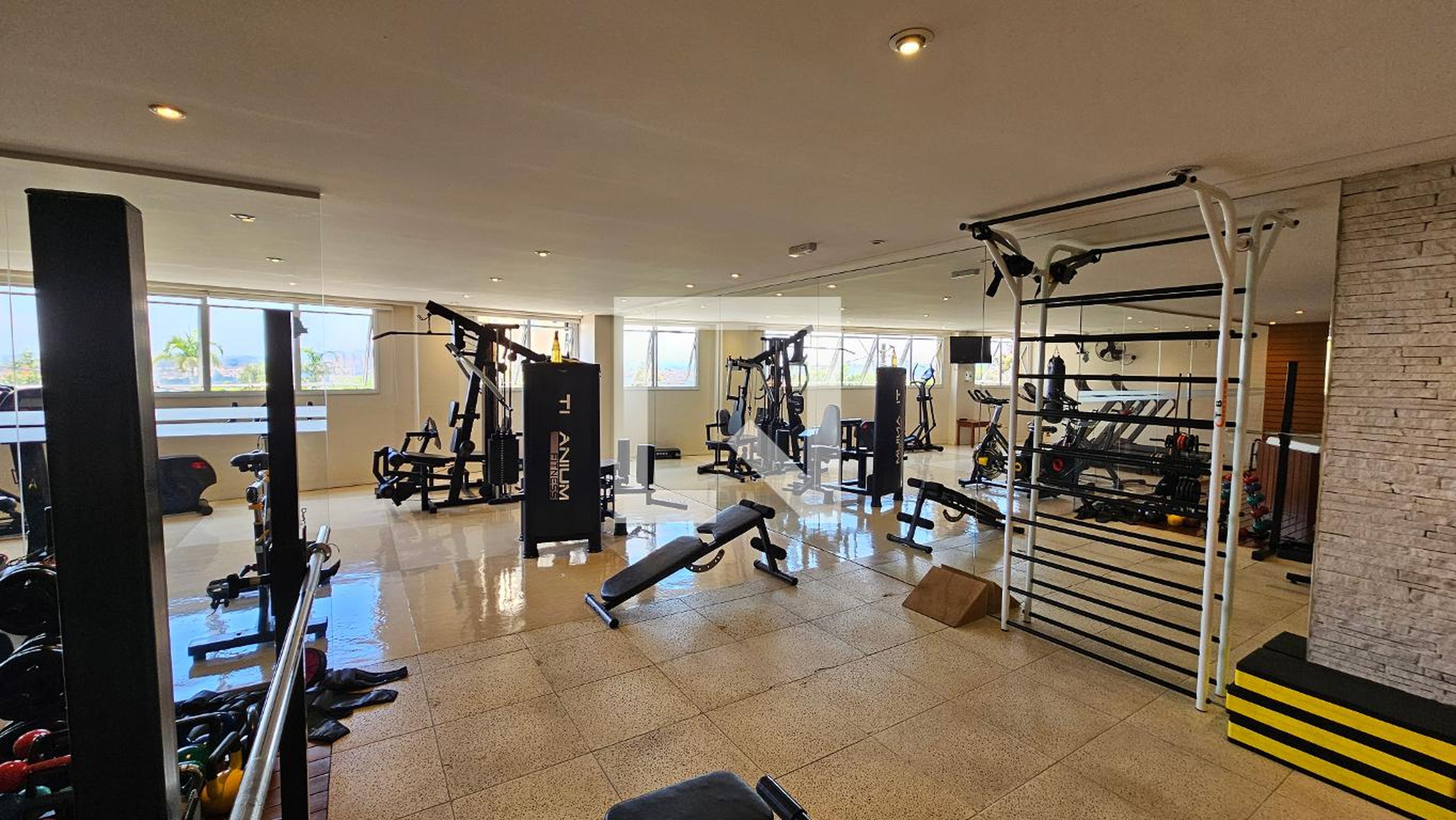 Academia - Golden Garden