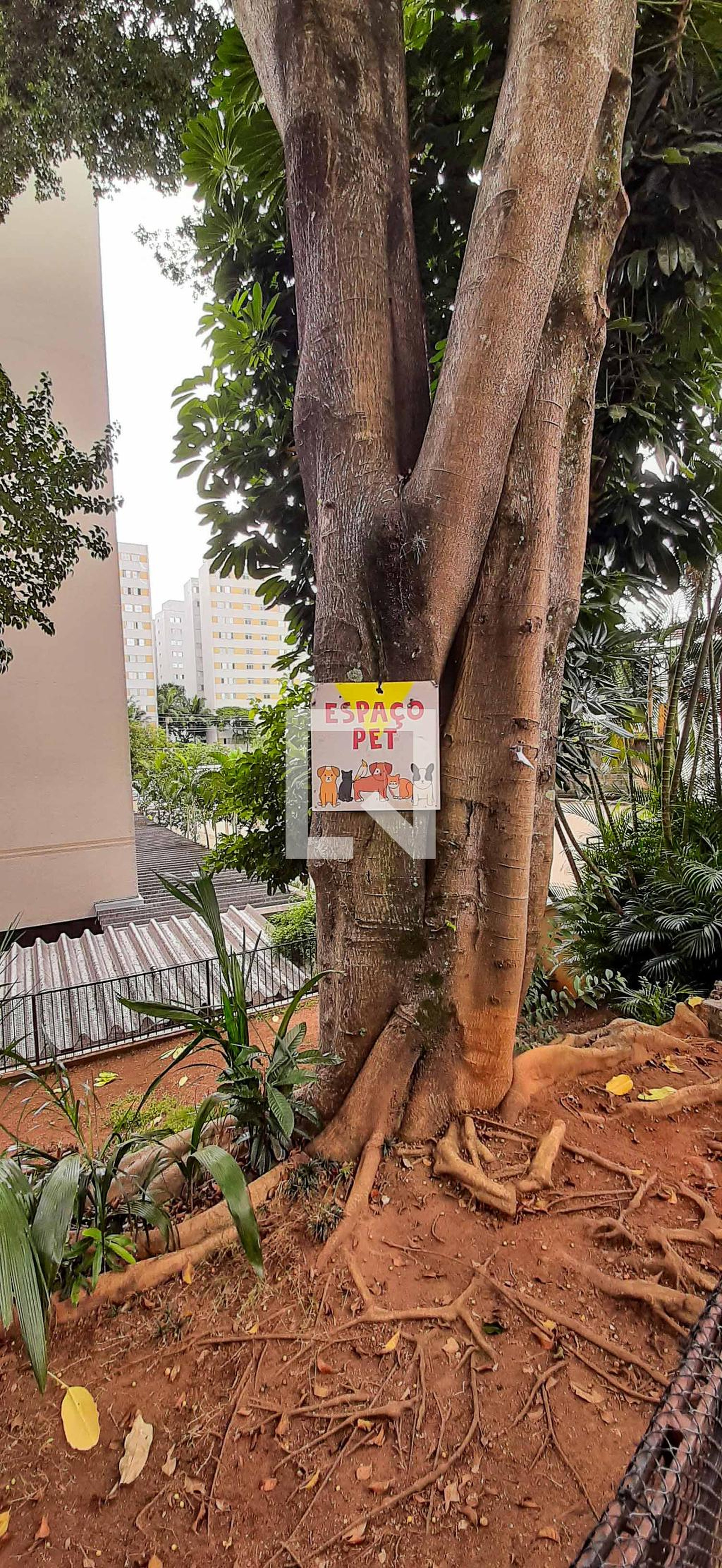 Espaço Pet - Pintassilgo