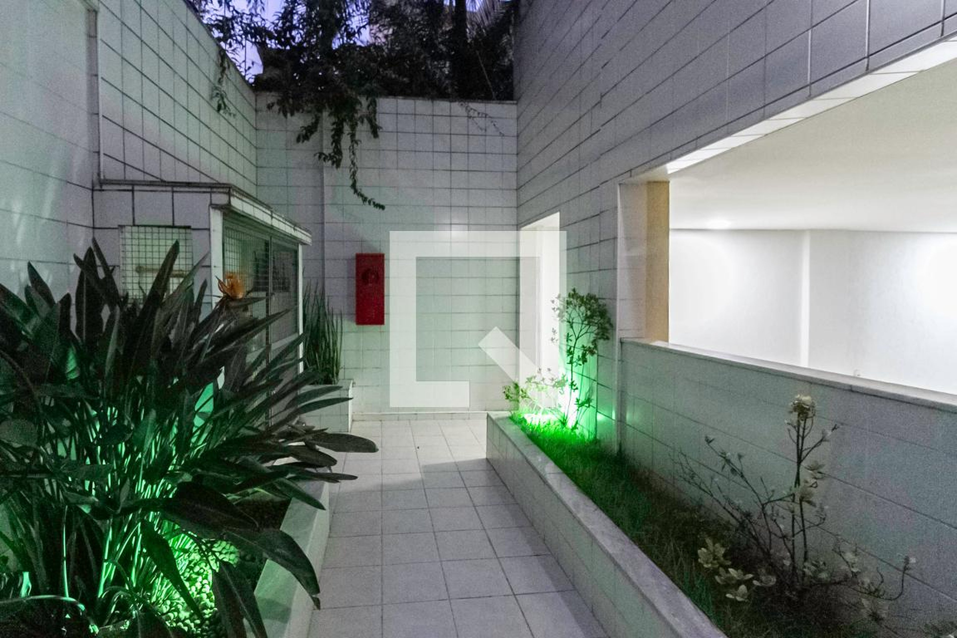 Entrada - 
