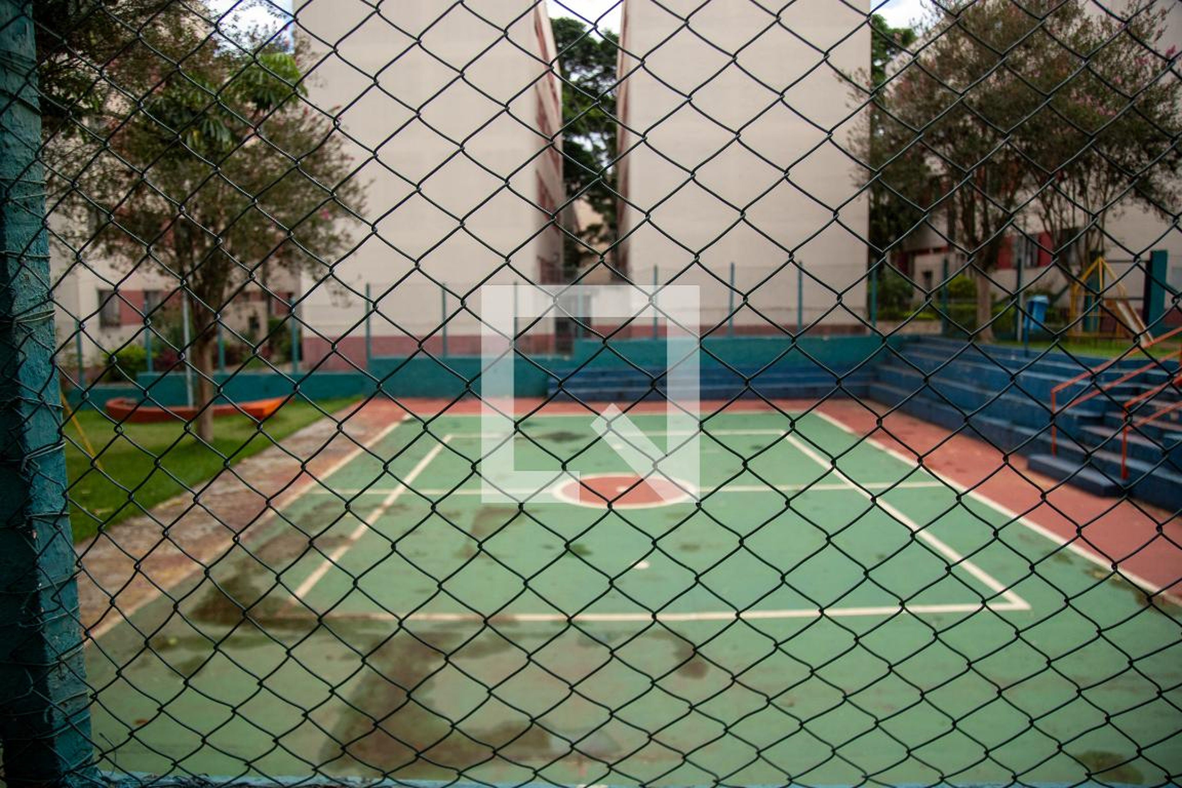 Quadra - Verde Oliva