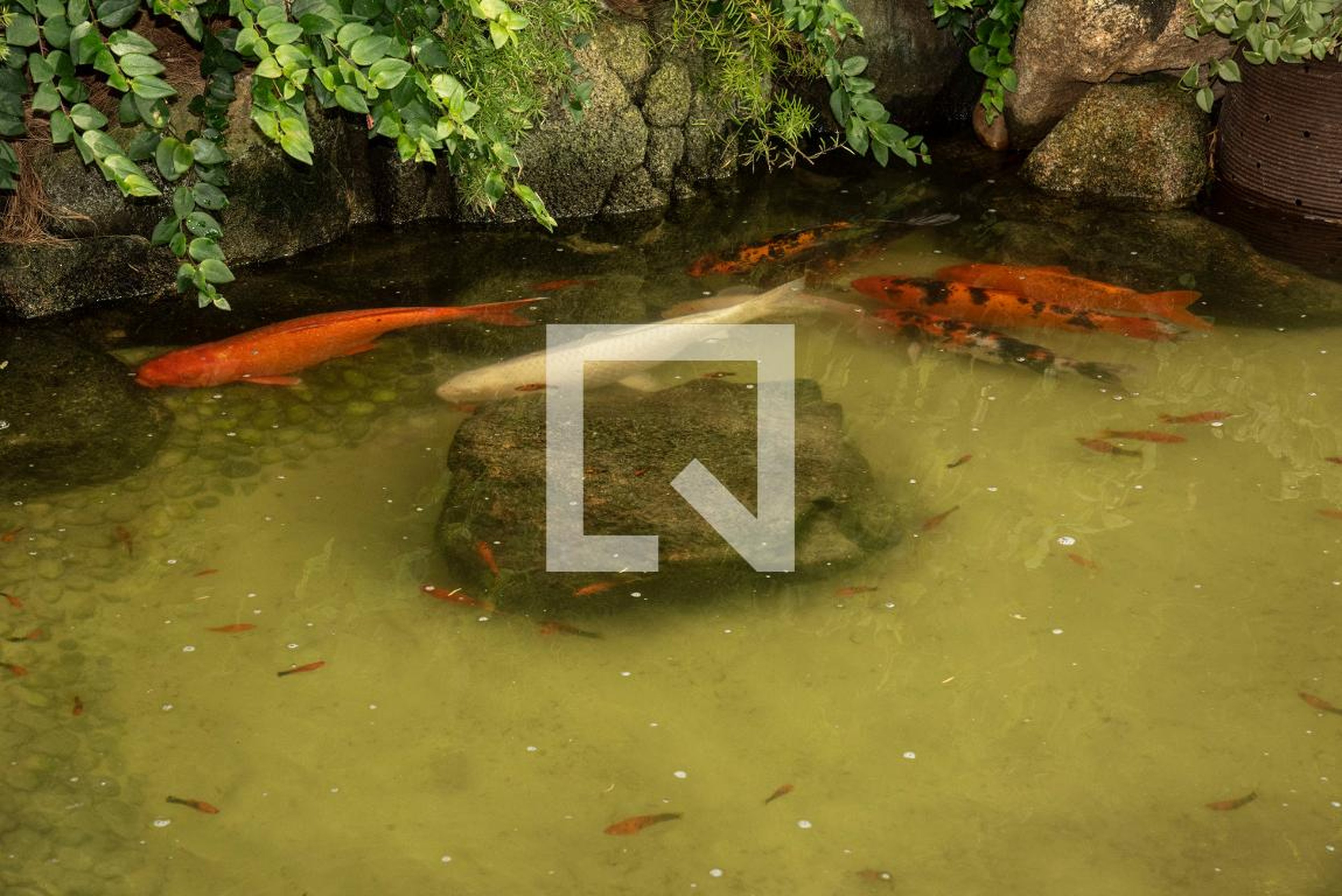 Hall de entrada - Edifício Esmeralda