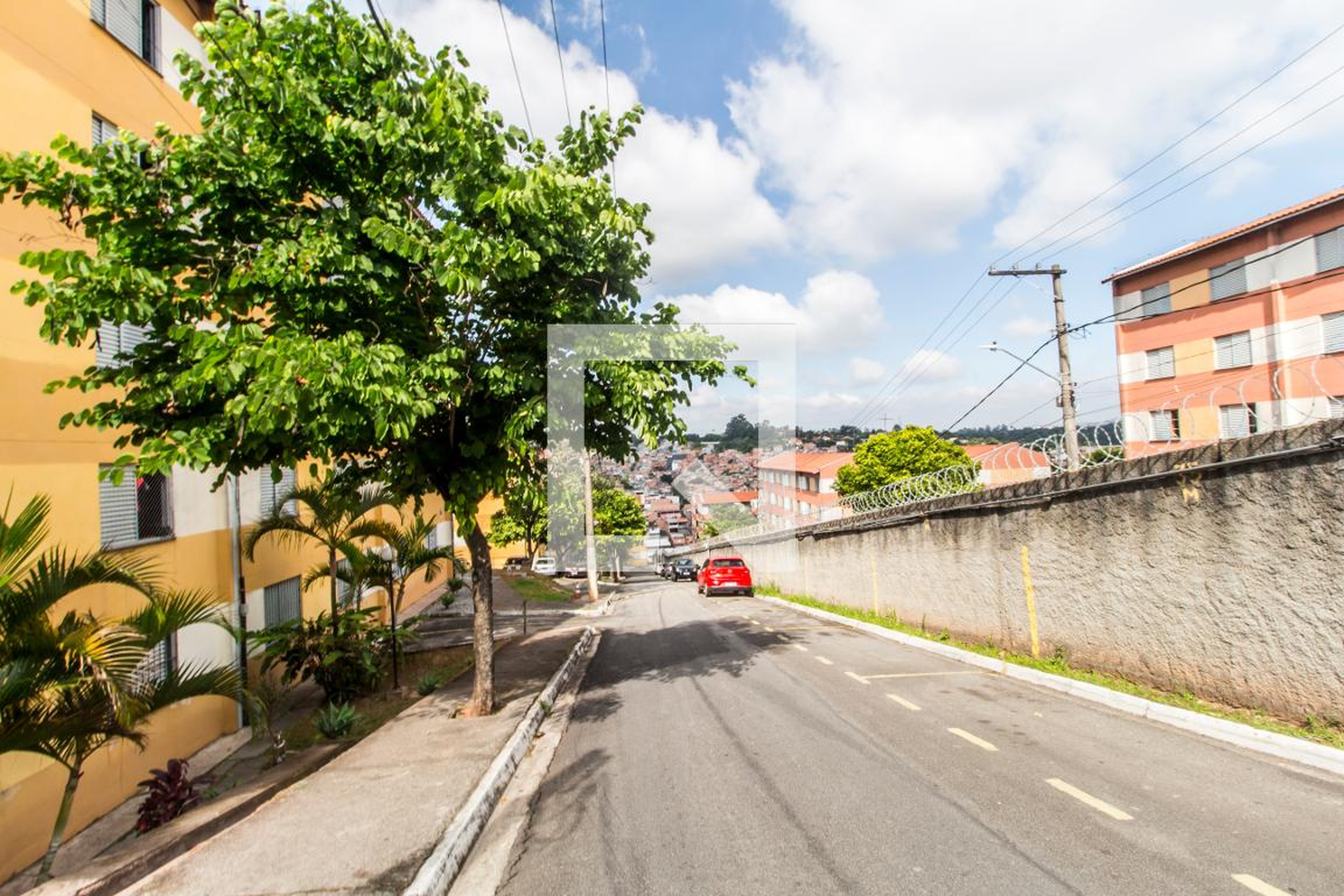 Entrada - Flor de LIZ