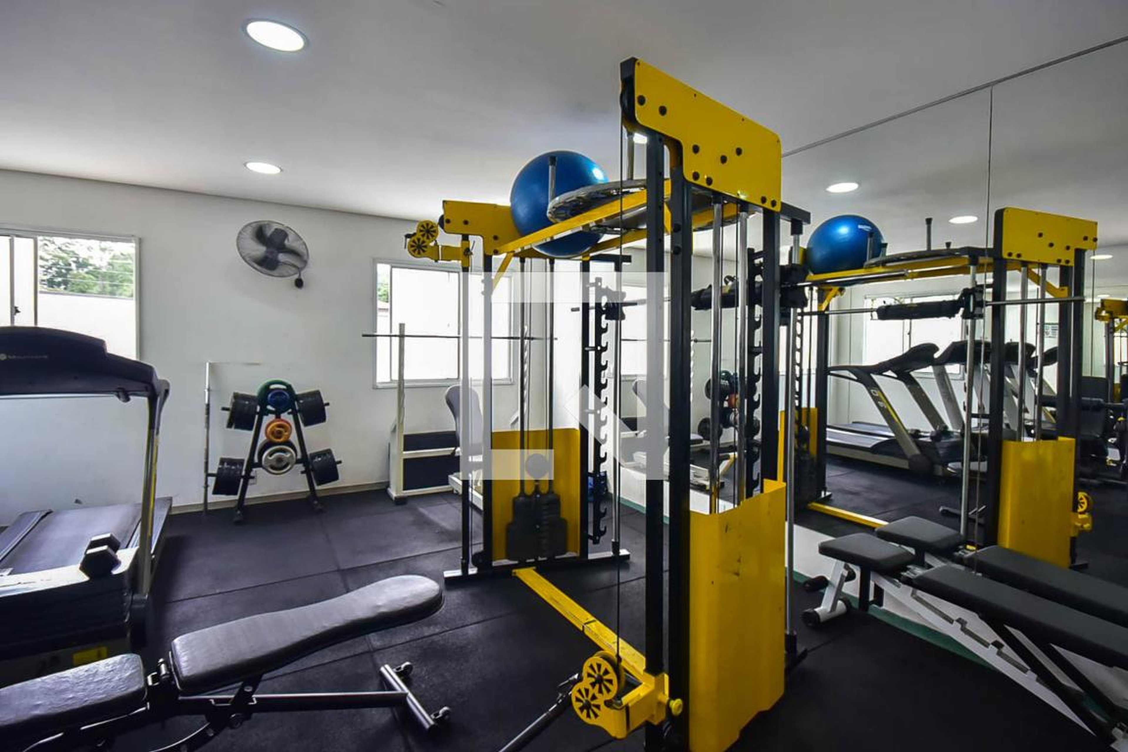 Academia - Liberty Village