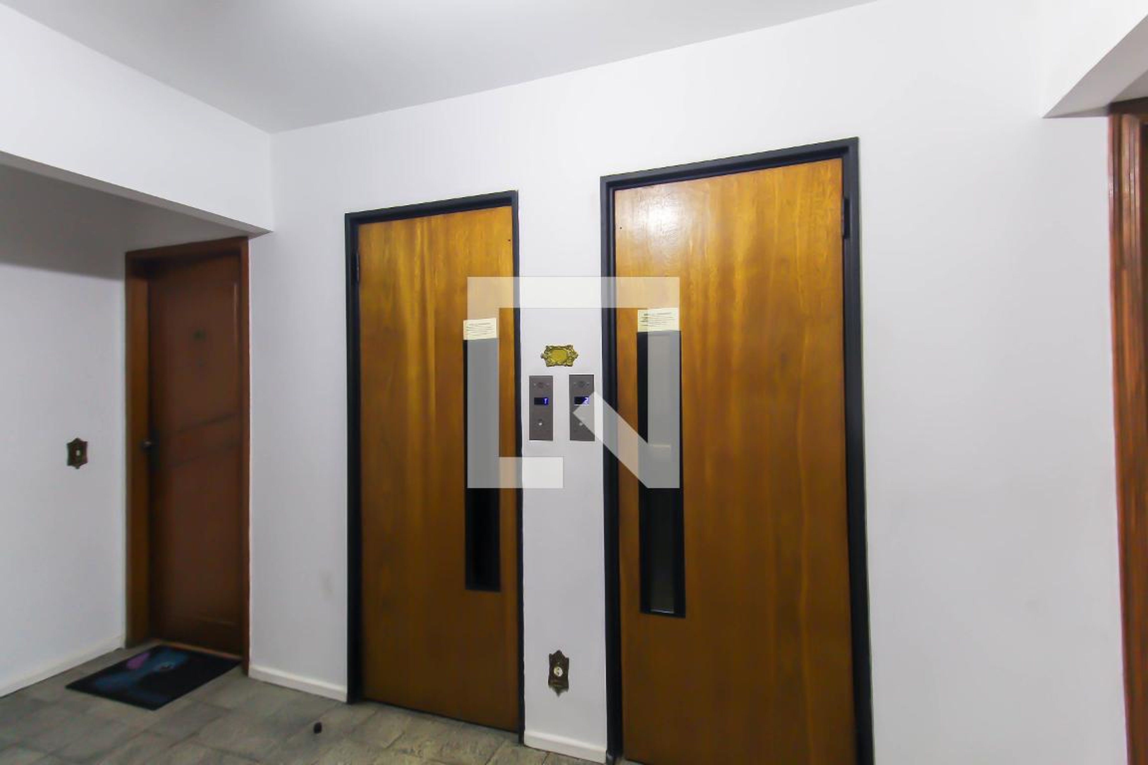 Elevador - Mariana Antibas