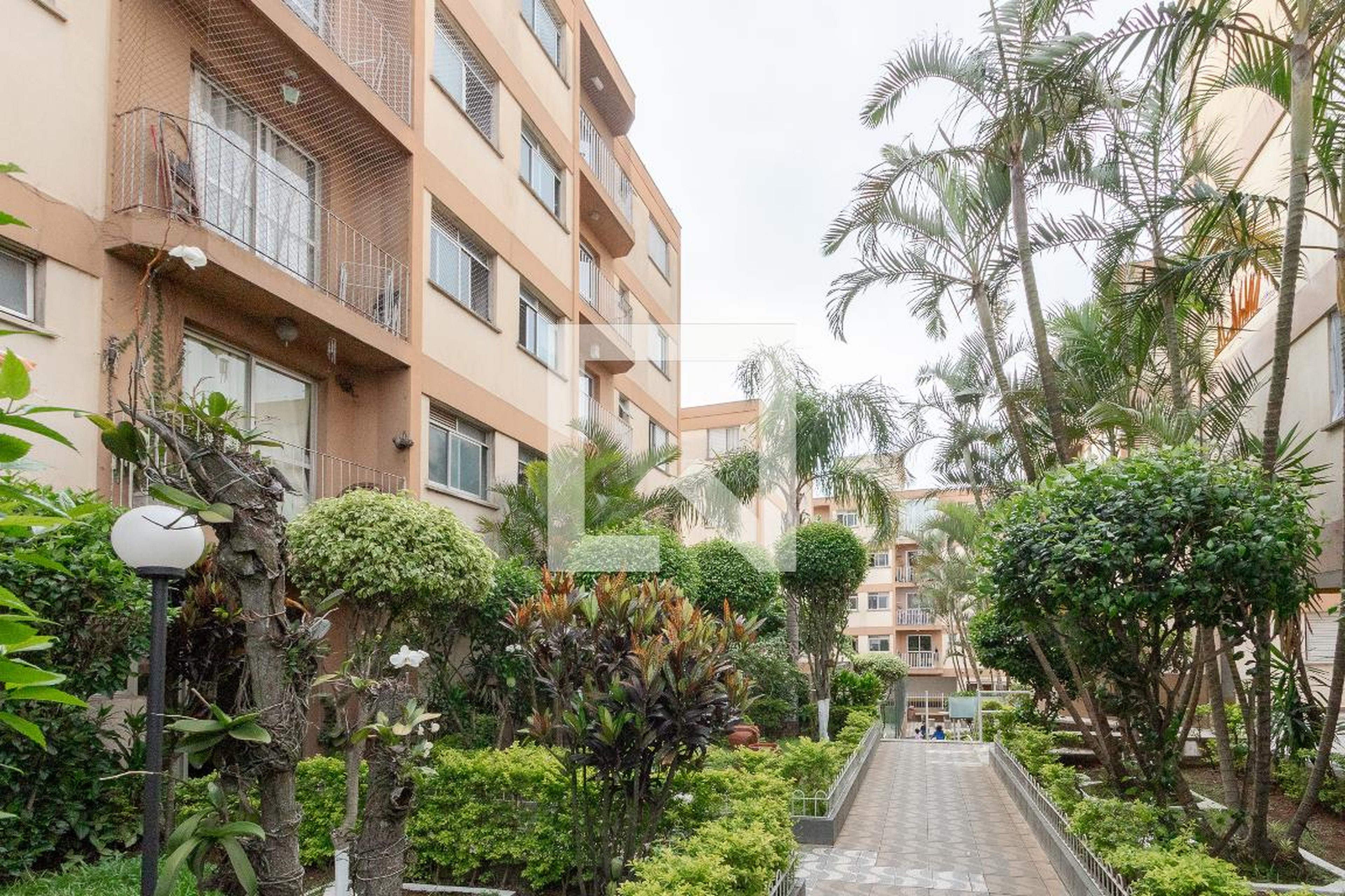 Entrada - Saint Louis