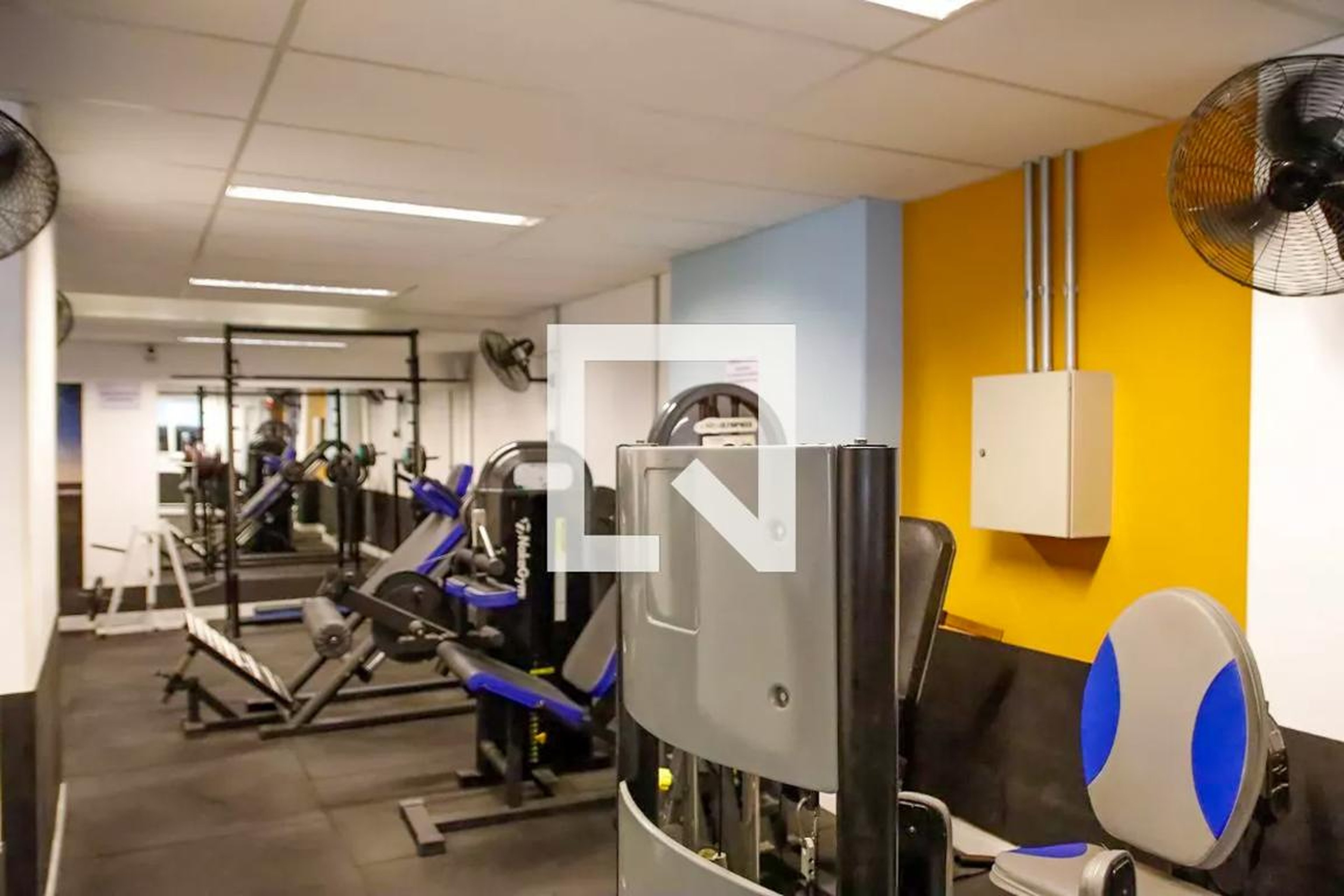 Academia - Innova Blue