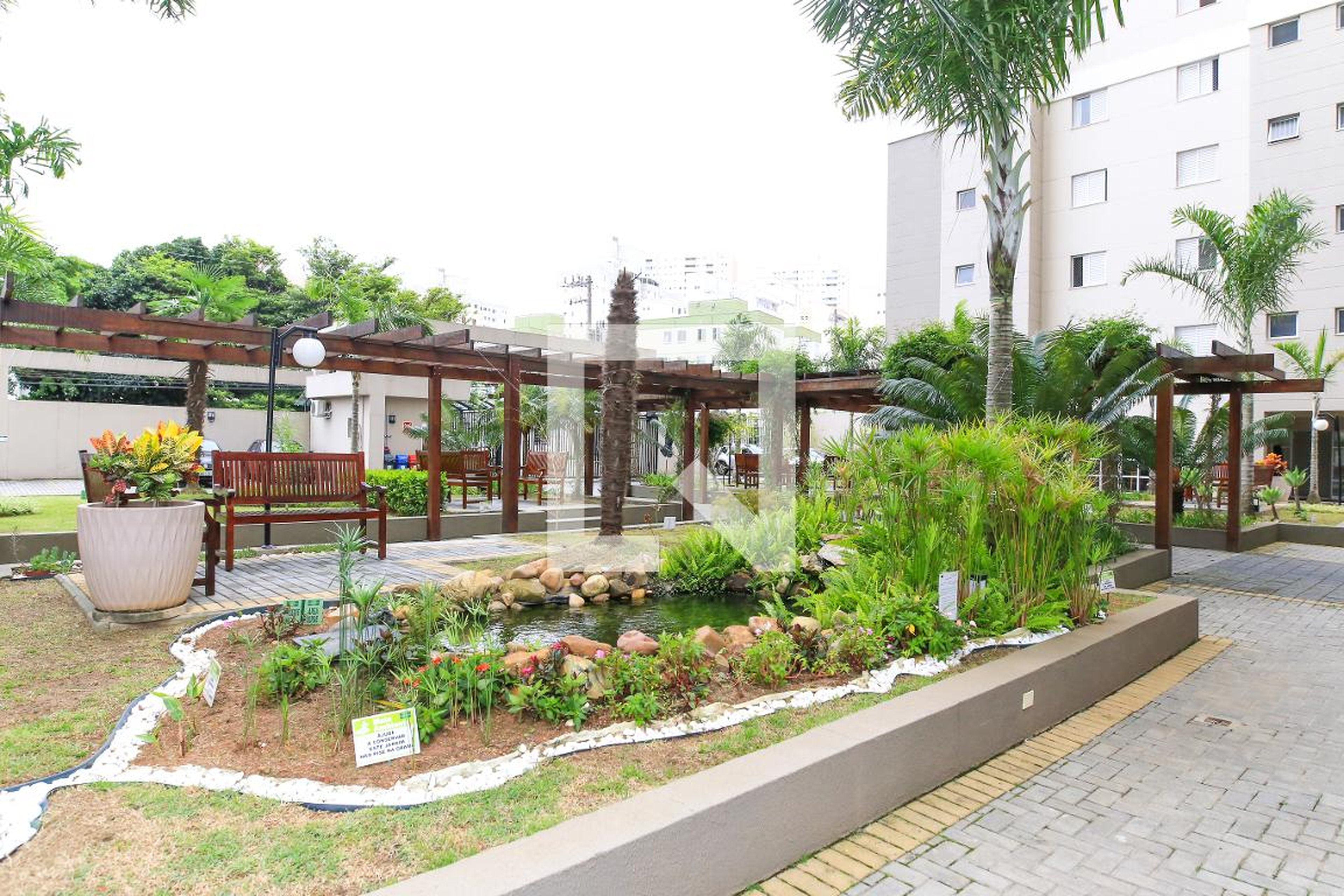 Área Comum - Palmeiras