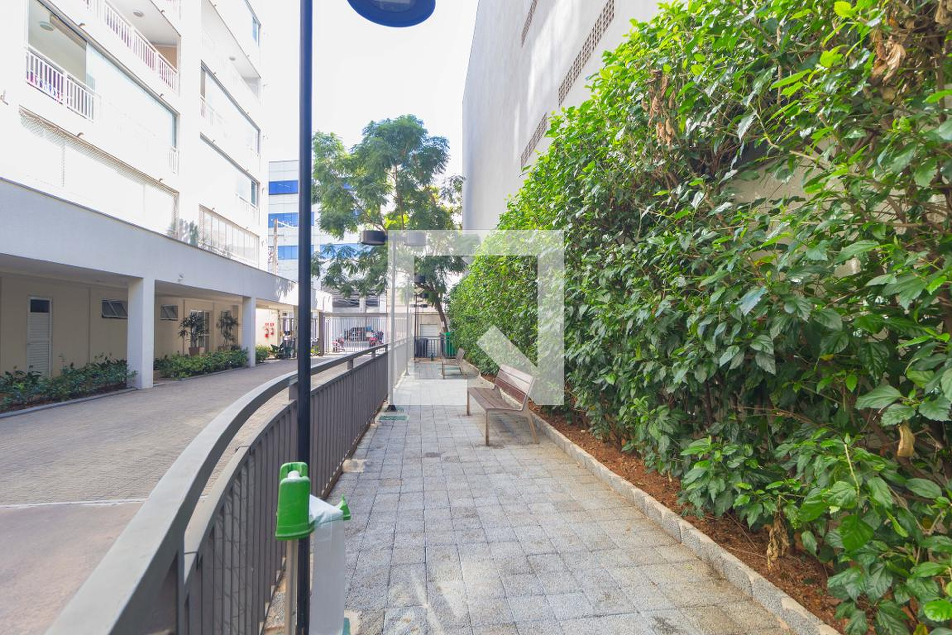 Espaço Pet - Edifício Criação