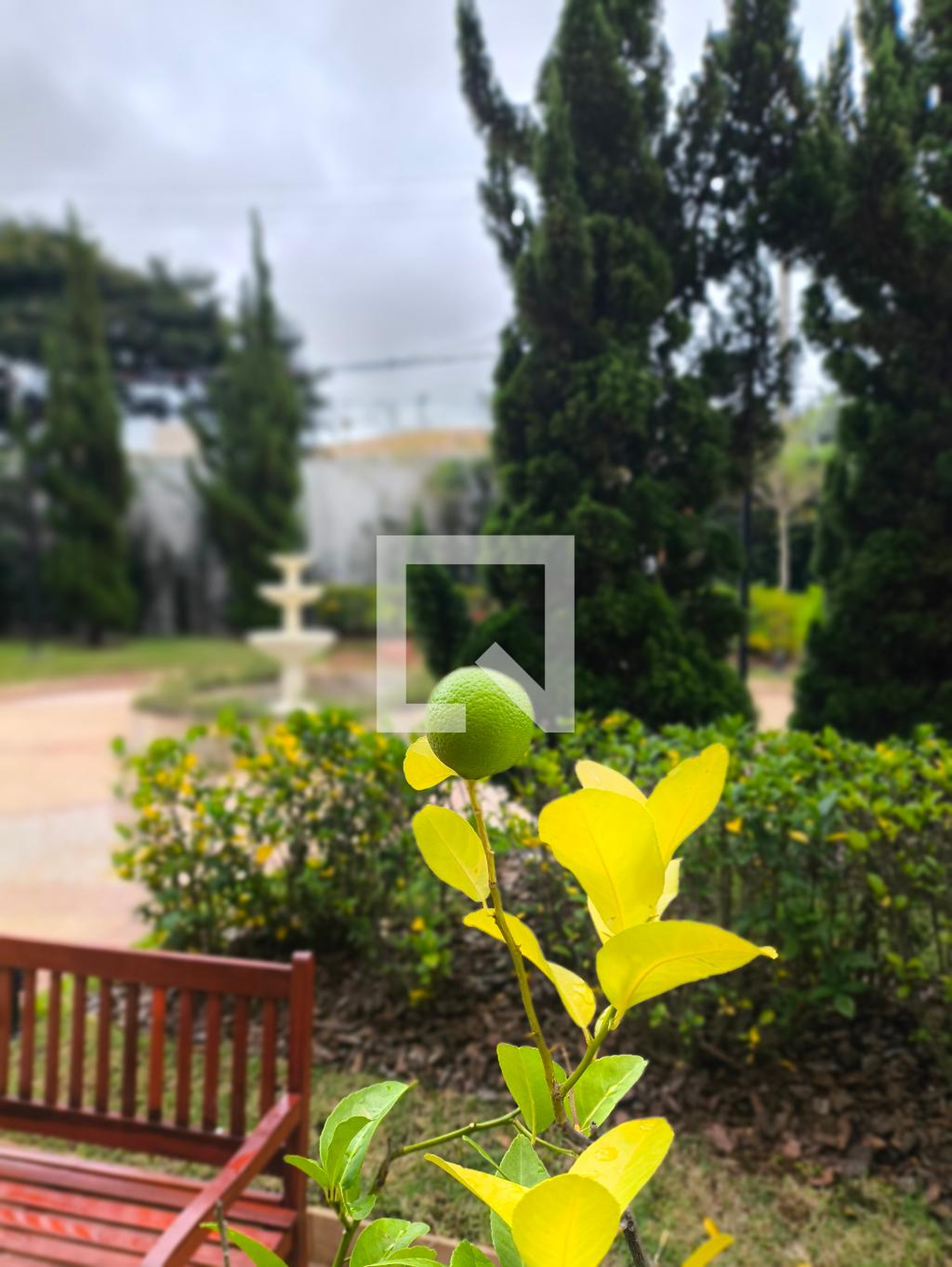 Área Comum - Montalto