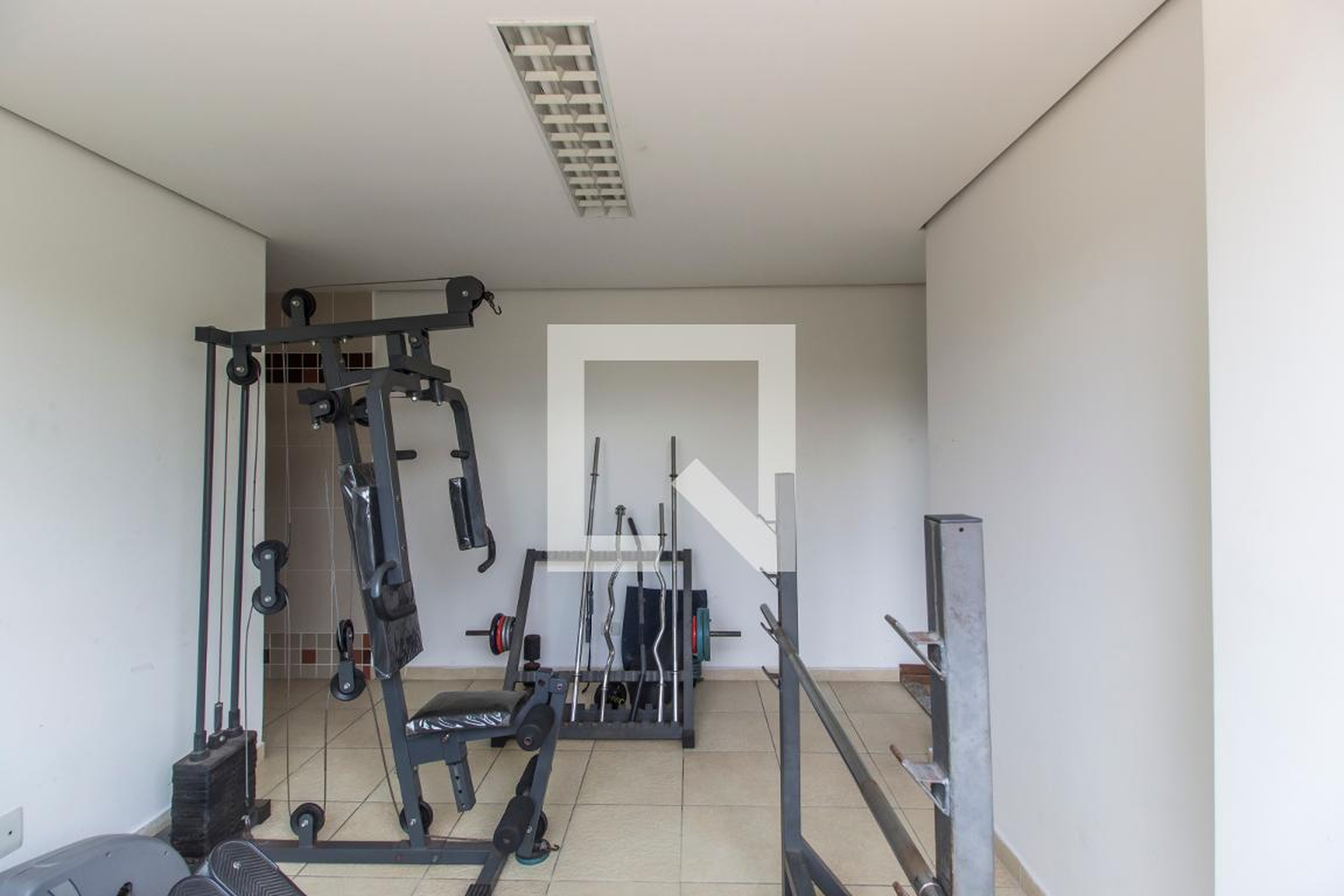 Academia - Flor de Liz