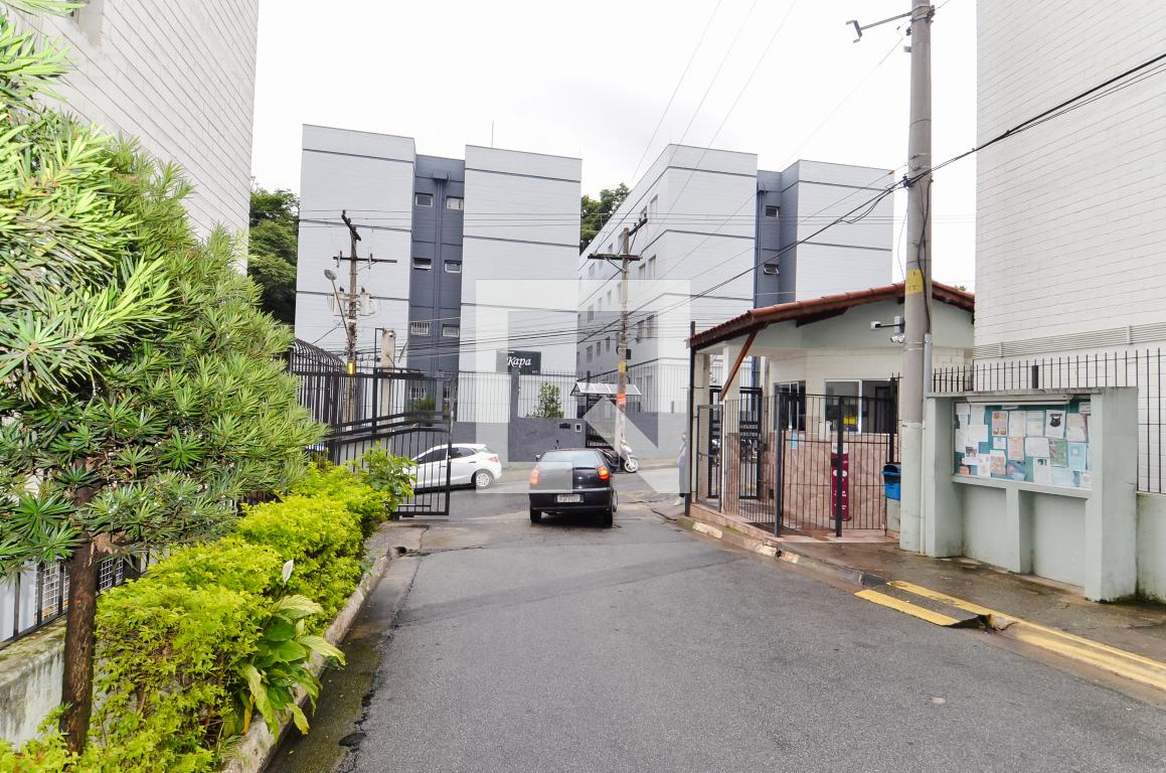 Entrada Social - Adriana